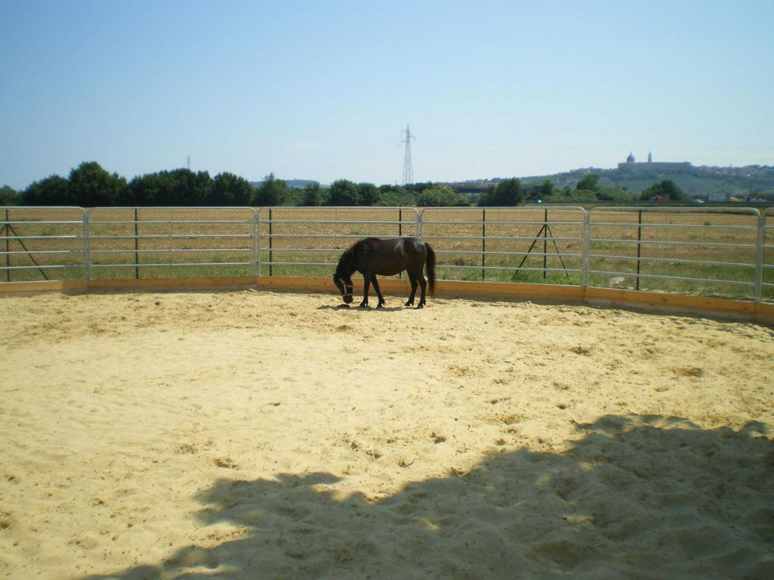 Gift card for Conero Ranch
