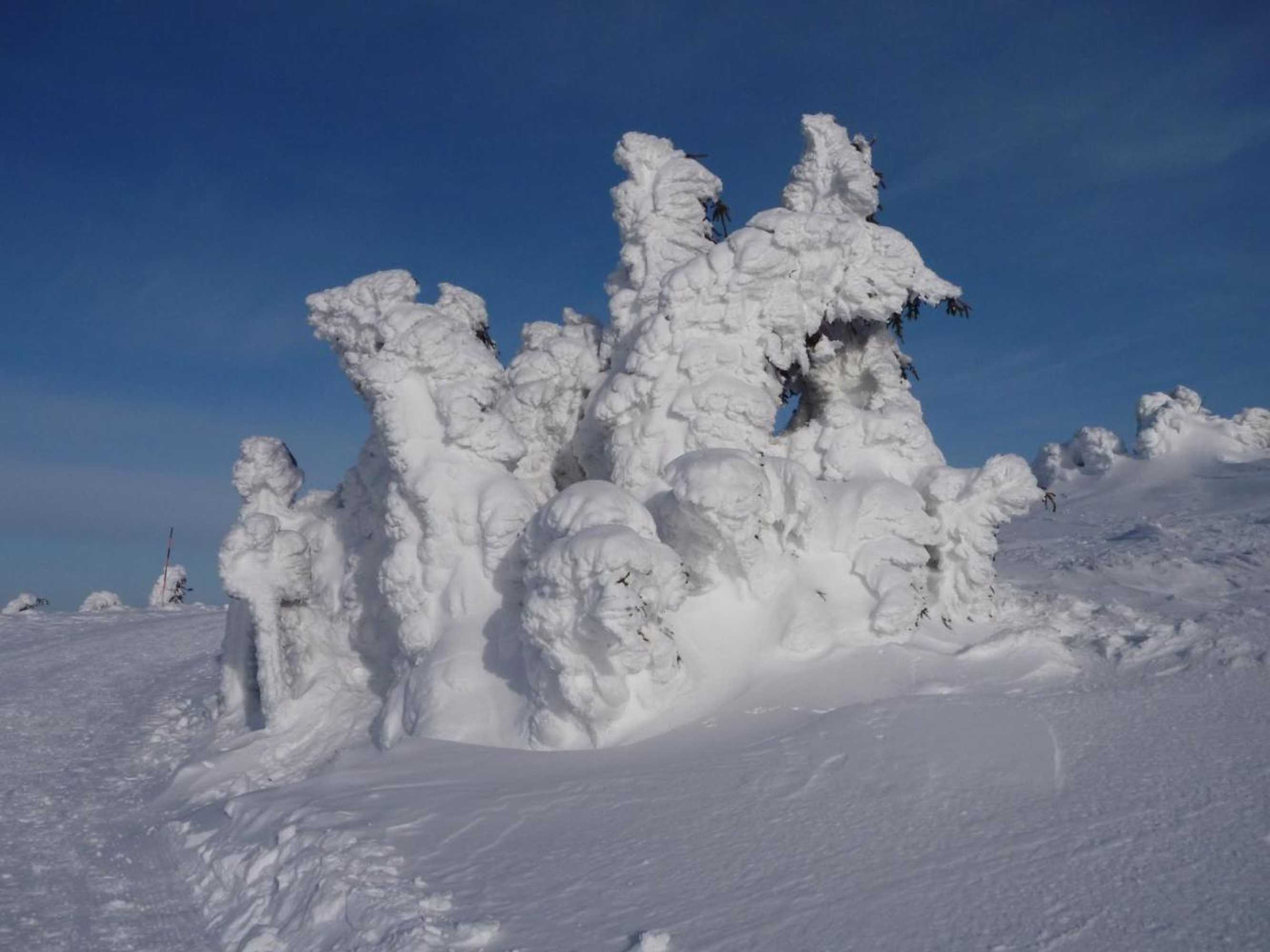 Gift card for Pension Sonnleitn