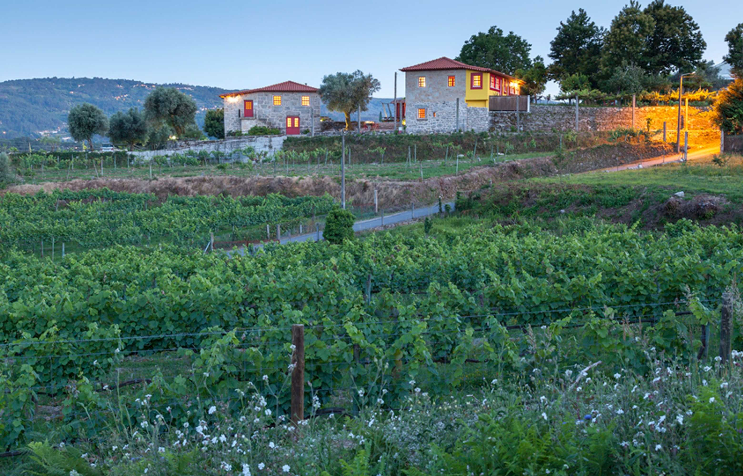 Gift card for Quinta do Olival