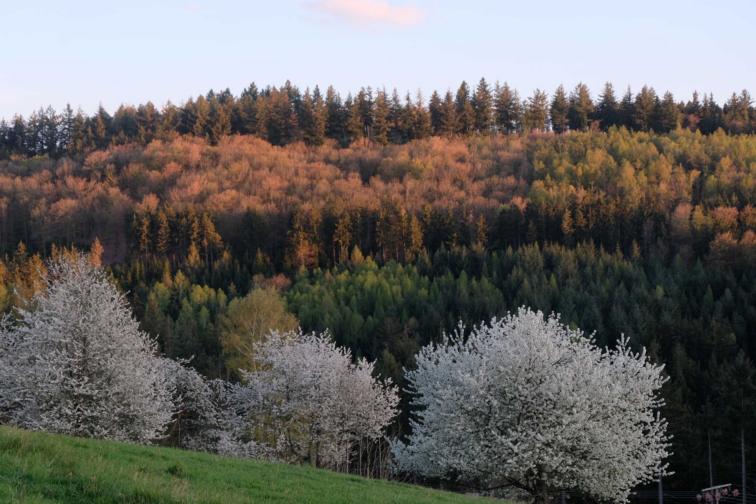 Gift card for Hotel Zum Weissen Lamm