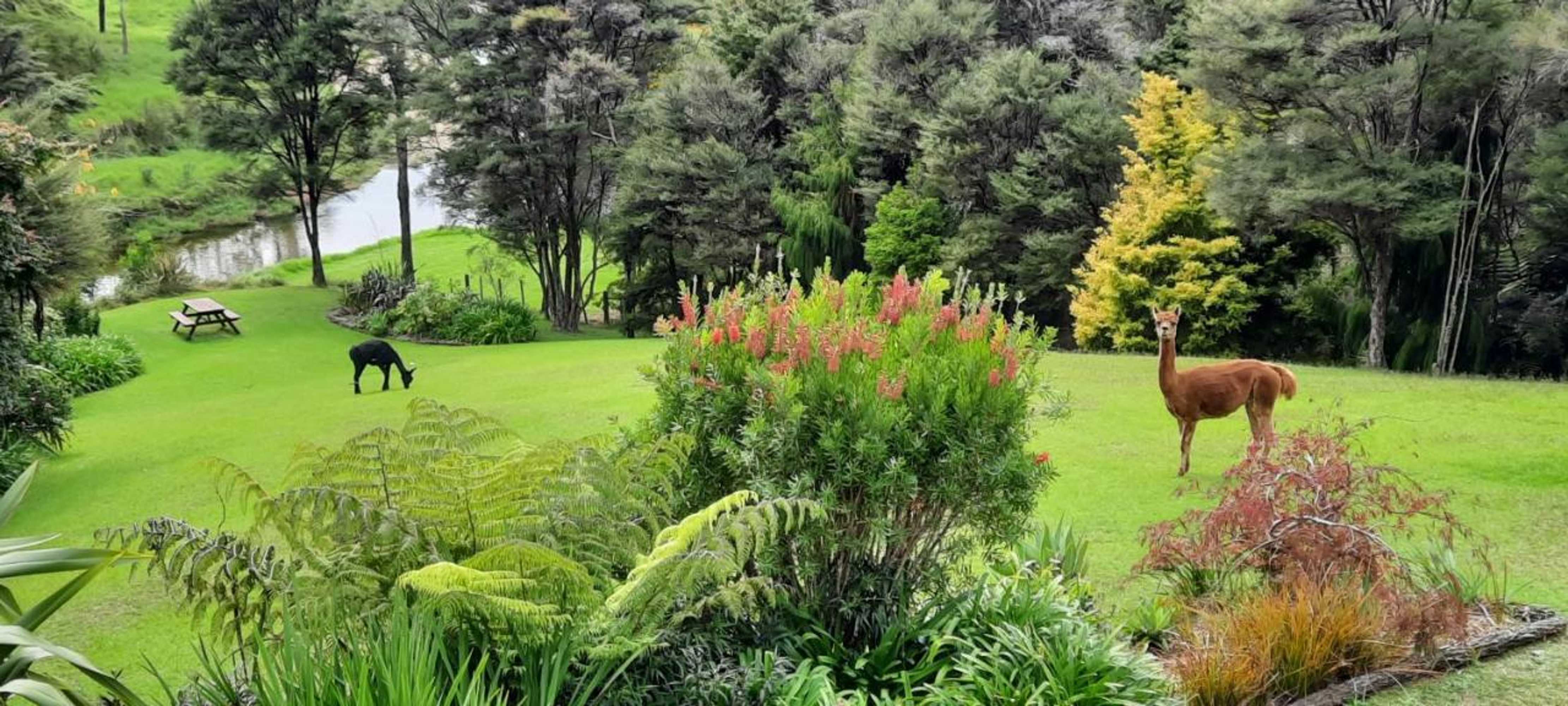 Gift card for Riverside Homestead Waitangi Gift card for Riverside Homestead Waitangi