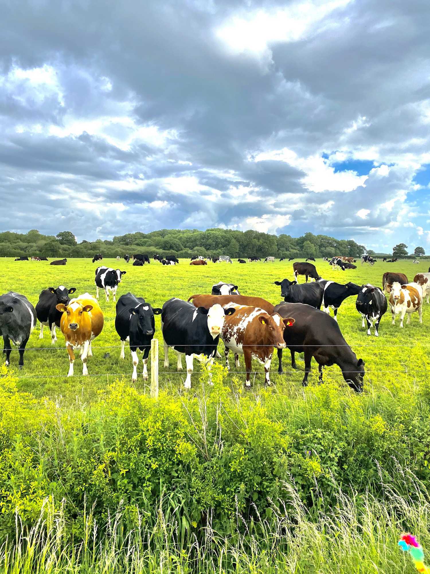 Gift card for New Farm Cheshire B&b Gift card for New Farm Cheshire B&b