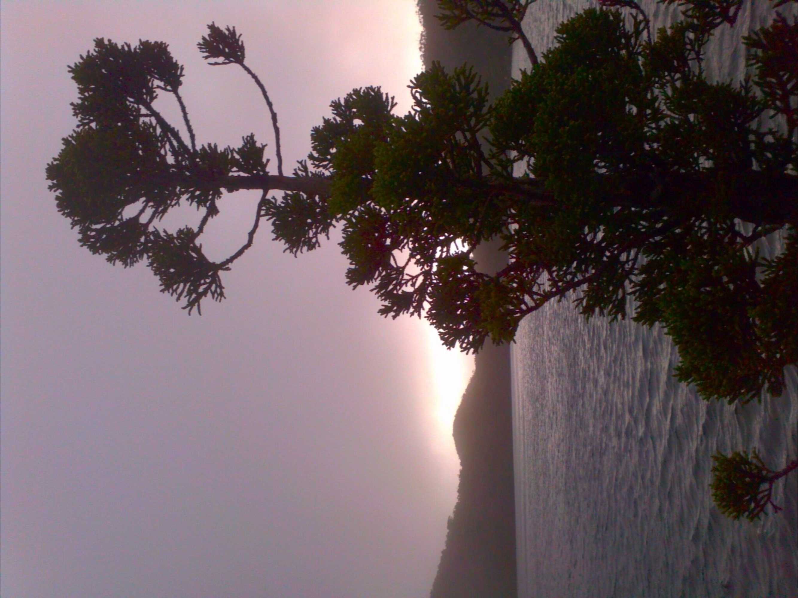 Gift card for Huon Bush Retreats