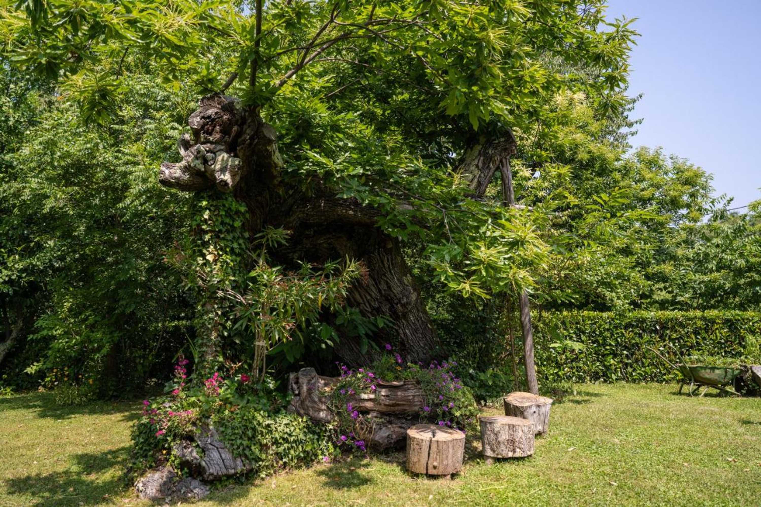 Gift card for Villa Stori Grod