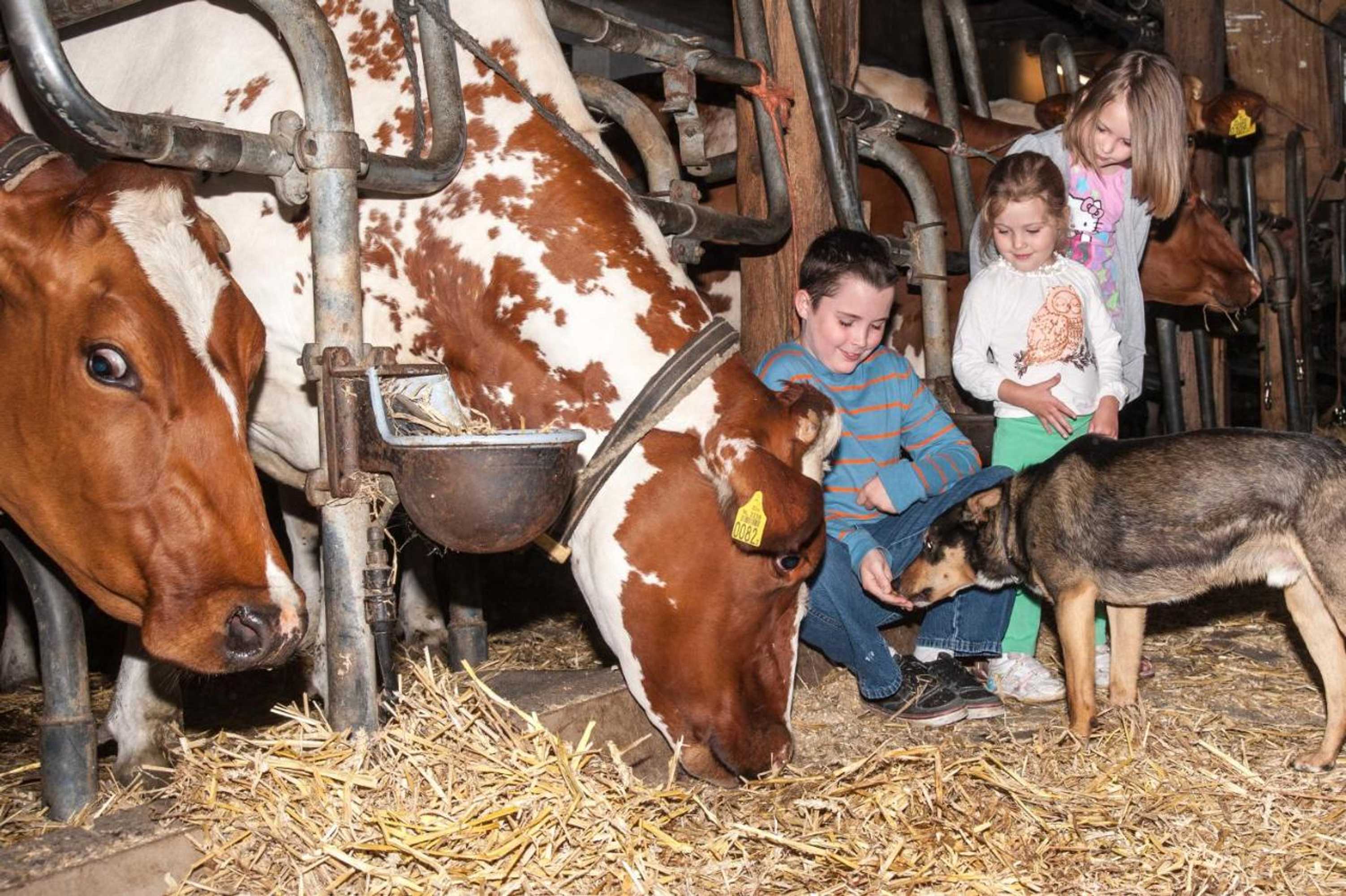 Gift card for Sint Nicolaashoeve