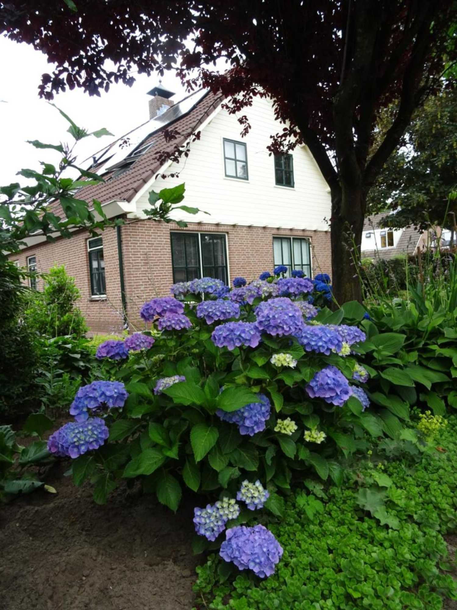 Gift card for Bed & Breakfast de Vrijheid