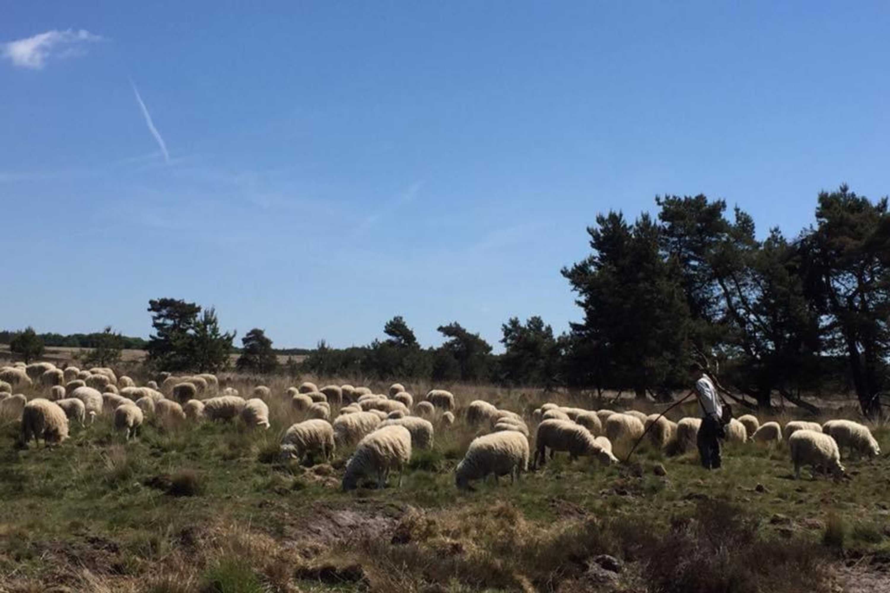 Gift card for Bed And Breakfast De Paalberg