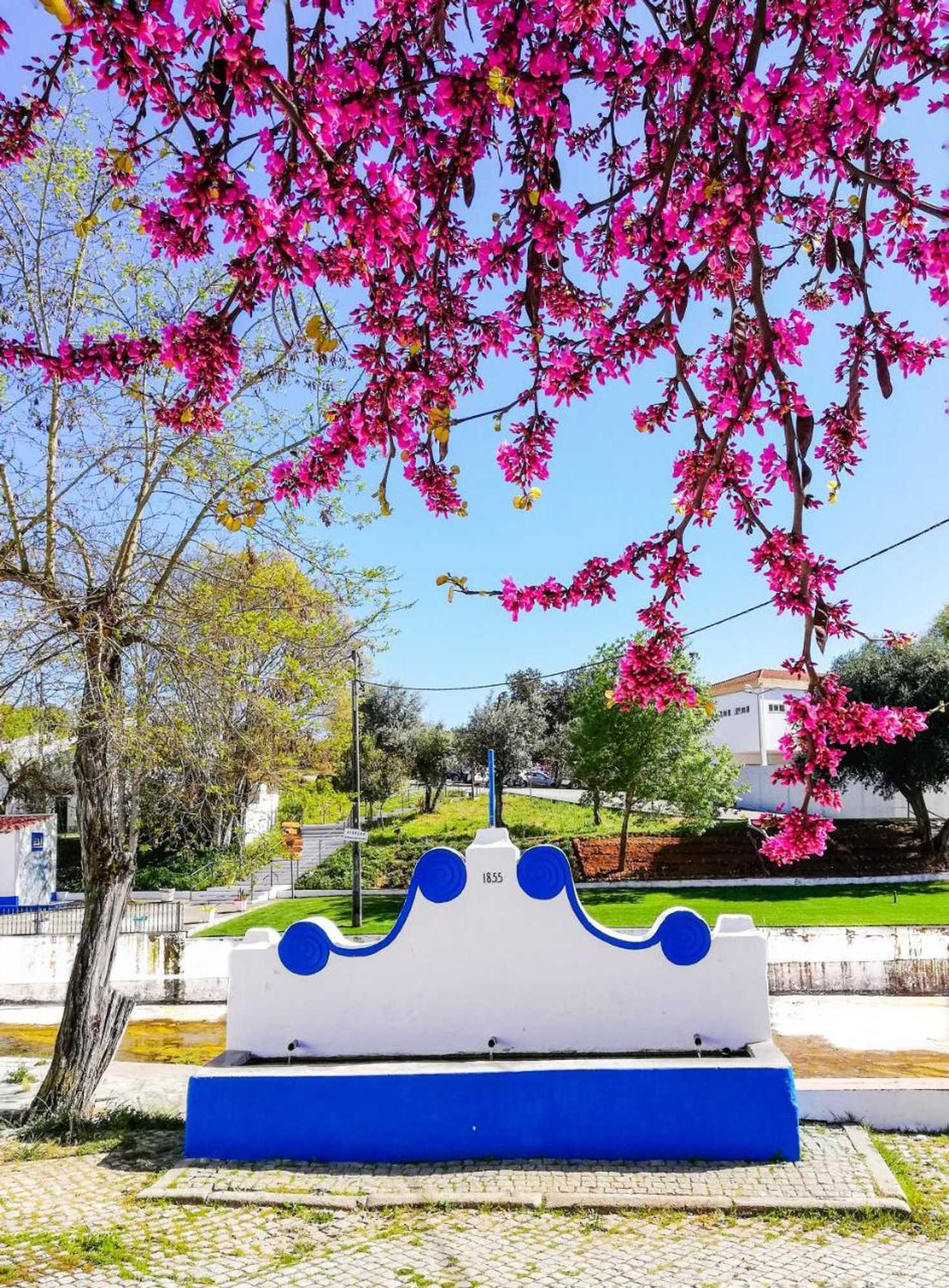 Gift card for Termas da Sulfurea