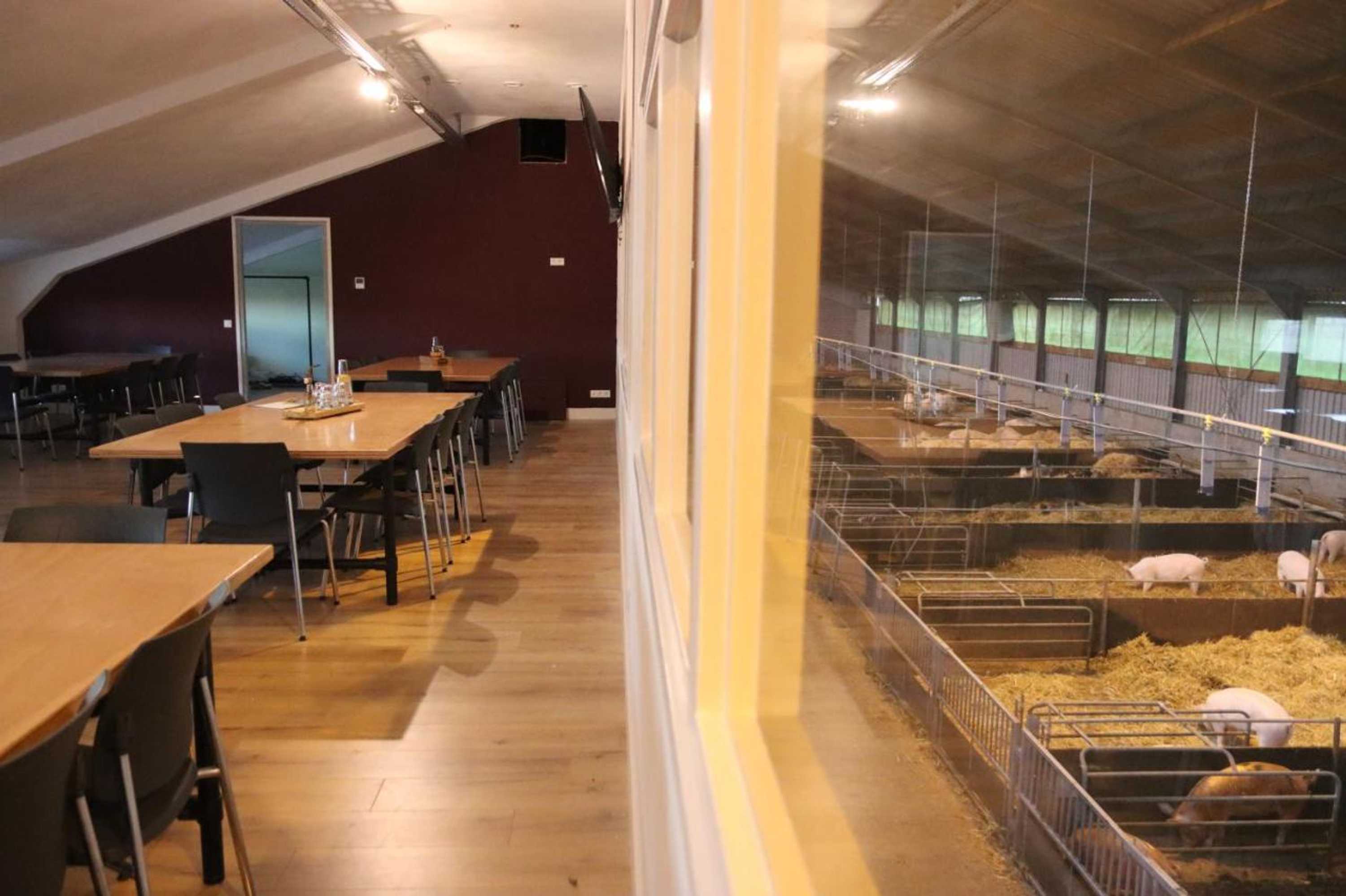 Gift card for Porcus Campus