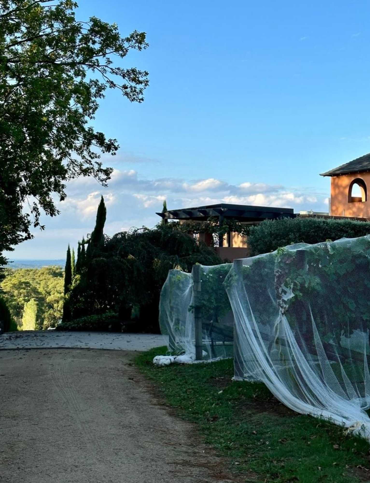 Gift card for Frogs Pond