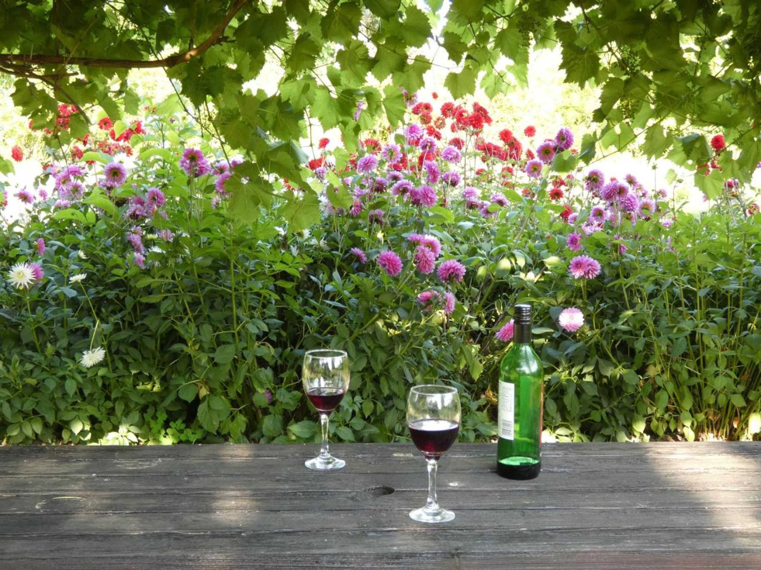 Gift card for The Mount B&b Somerton