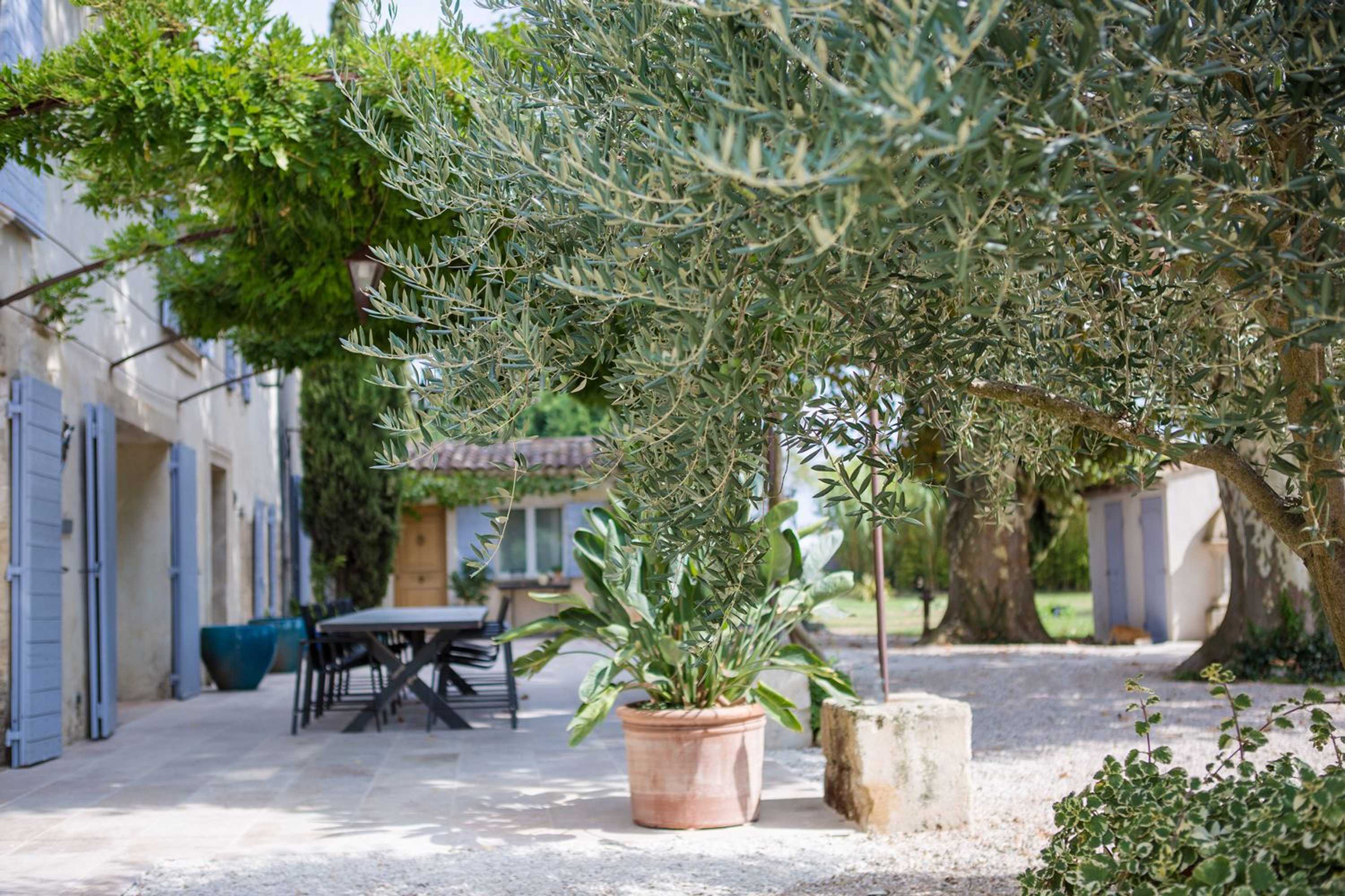 Gift card for Sous Les Platanes Gift card for Sous Les Platanes