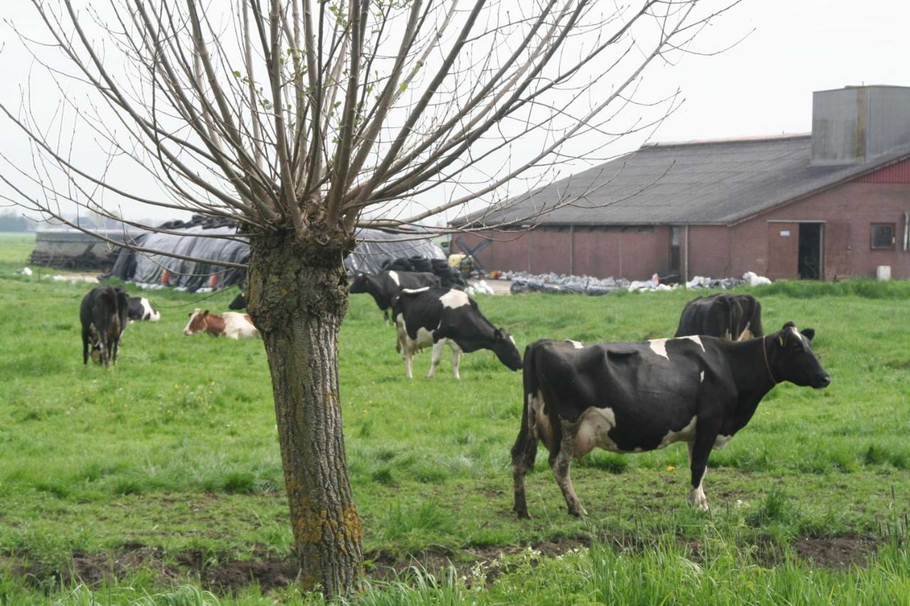 Gift card for Camping De Grienduil