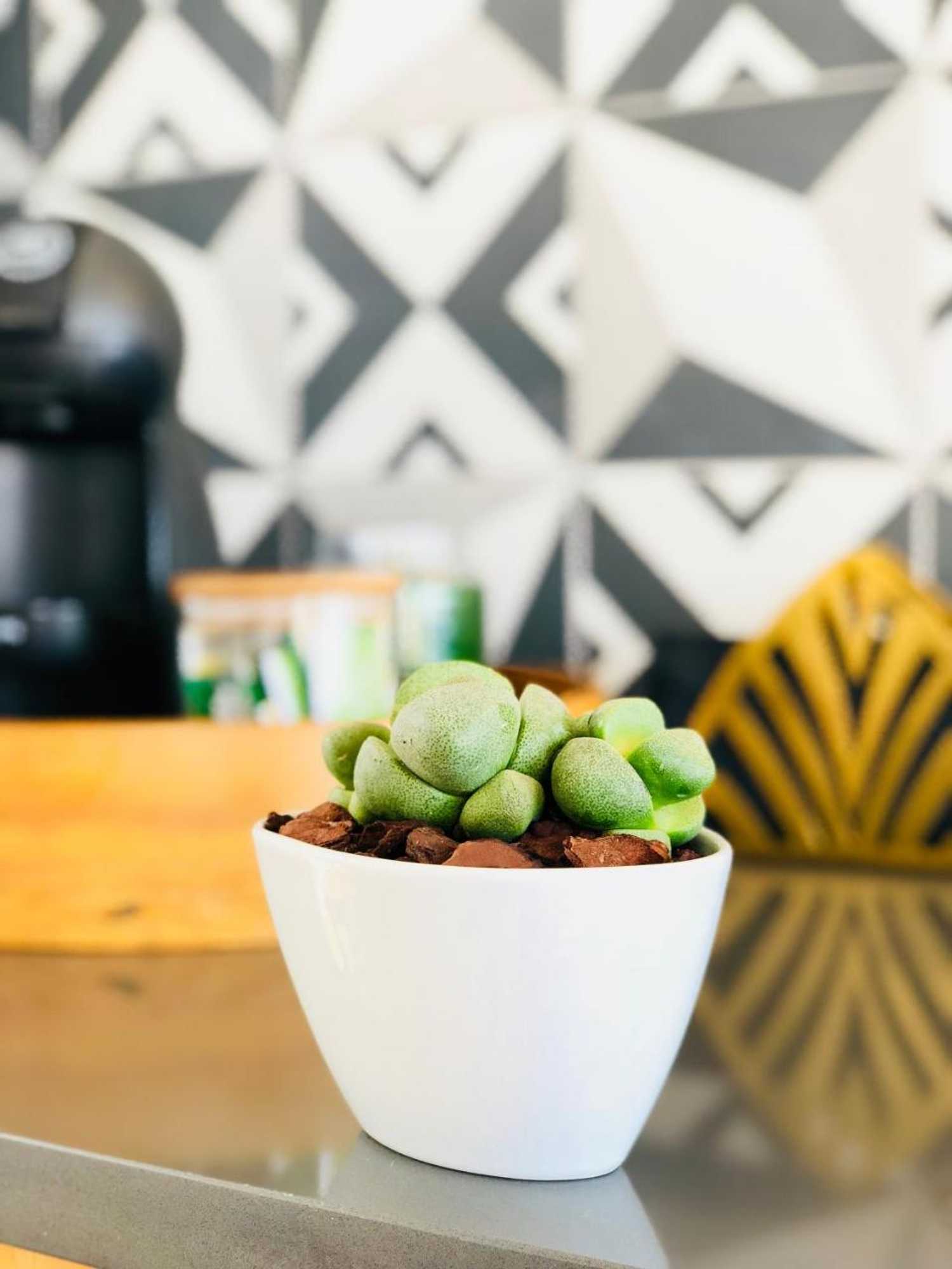 Gift card for Casa da Rocha