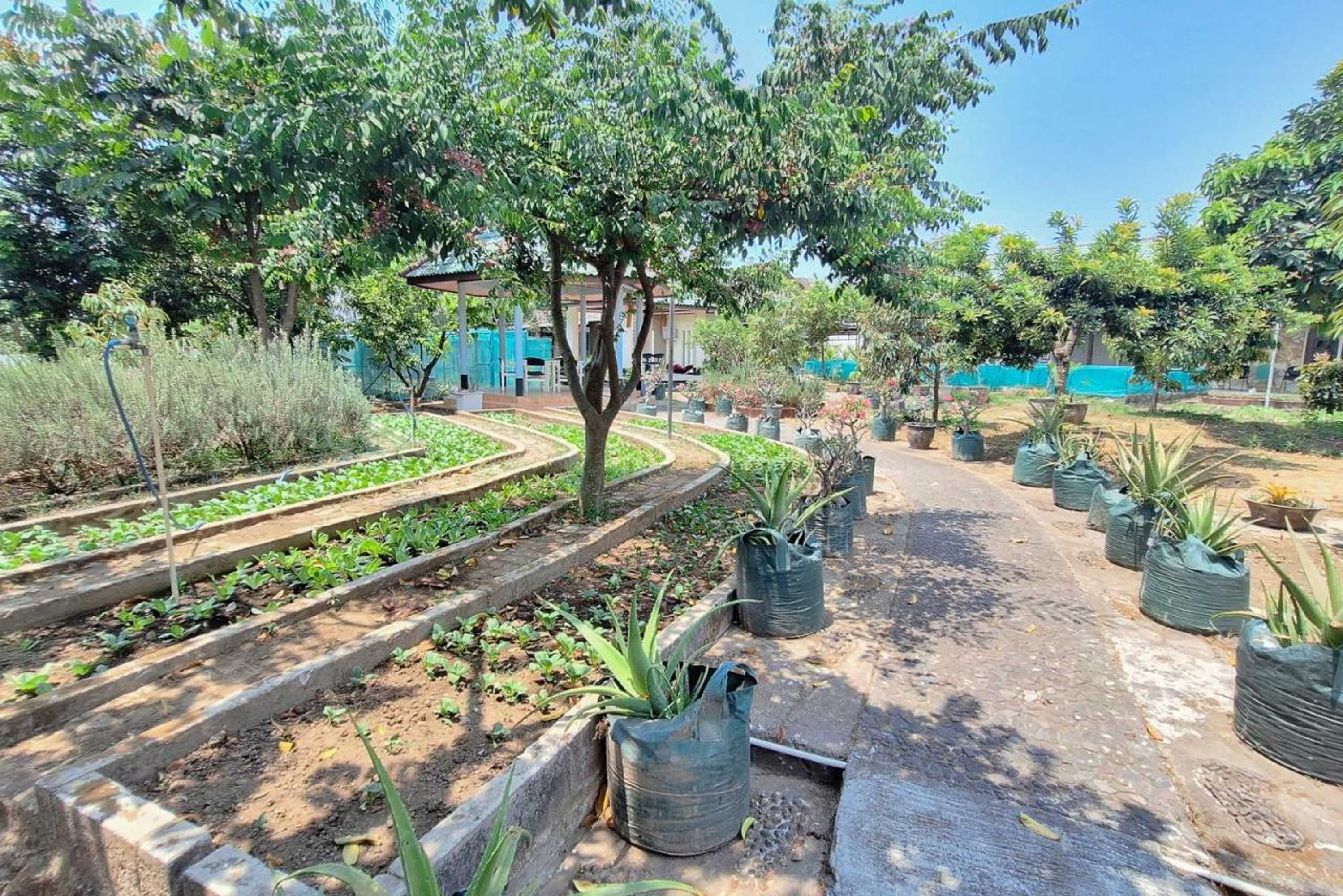 Gift card for Papa Kana Farm Mitra Reddoorz At Pacet Mojokerto