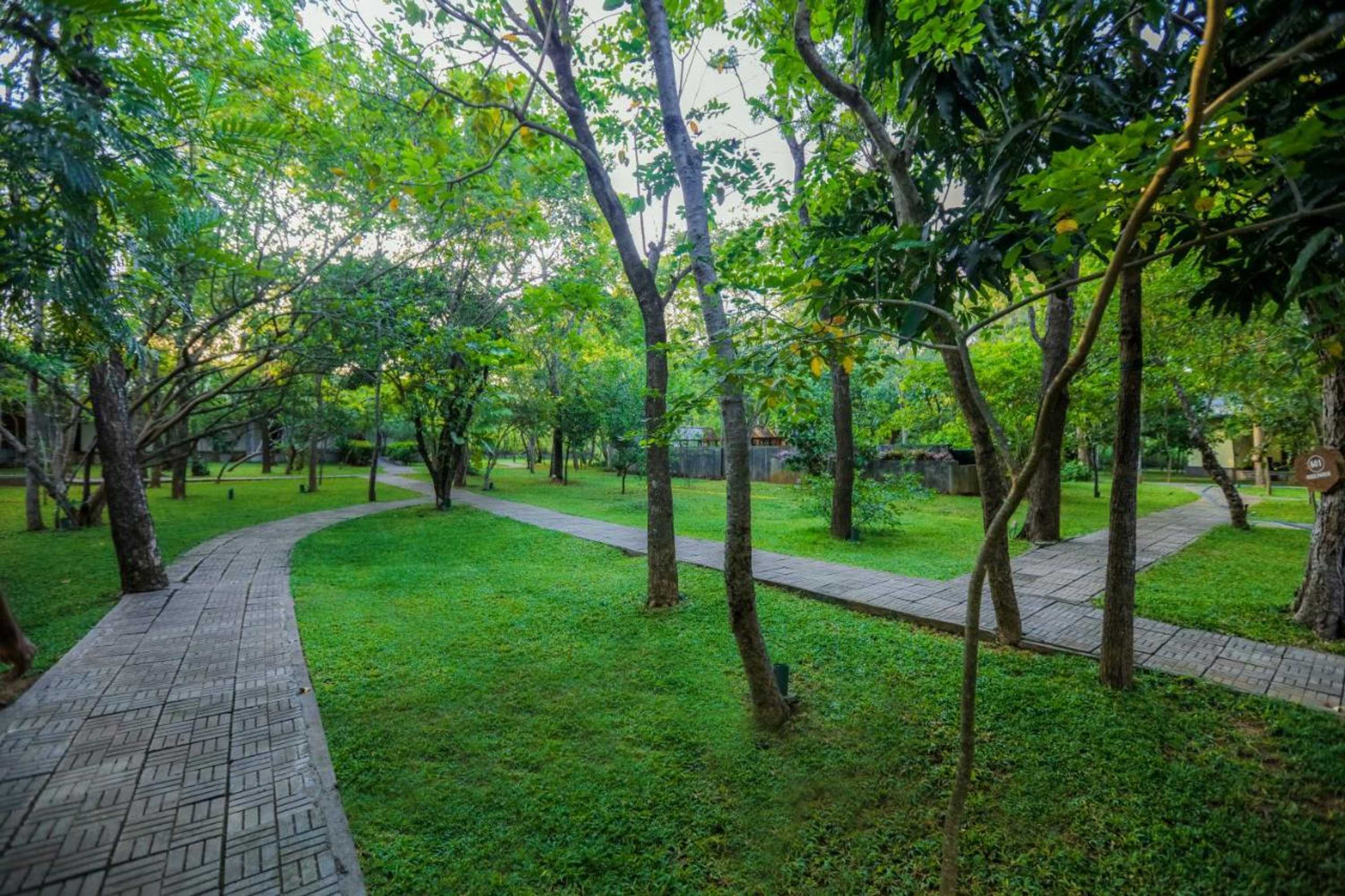 Gift card for Sigiri Asna Nature Resort Gift card for Sigiri Asna Nature Resort