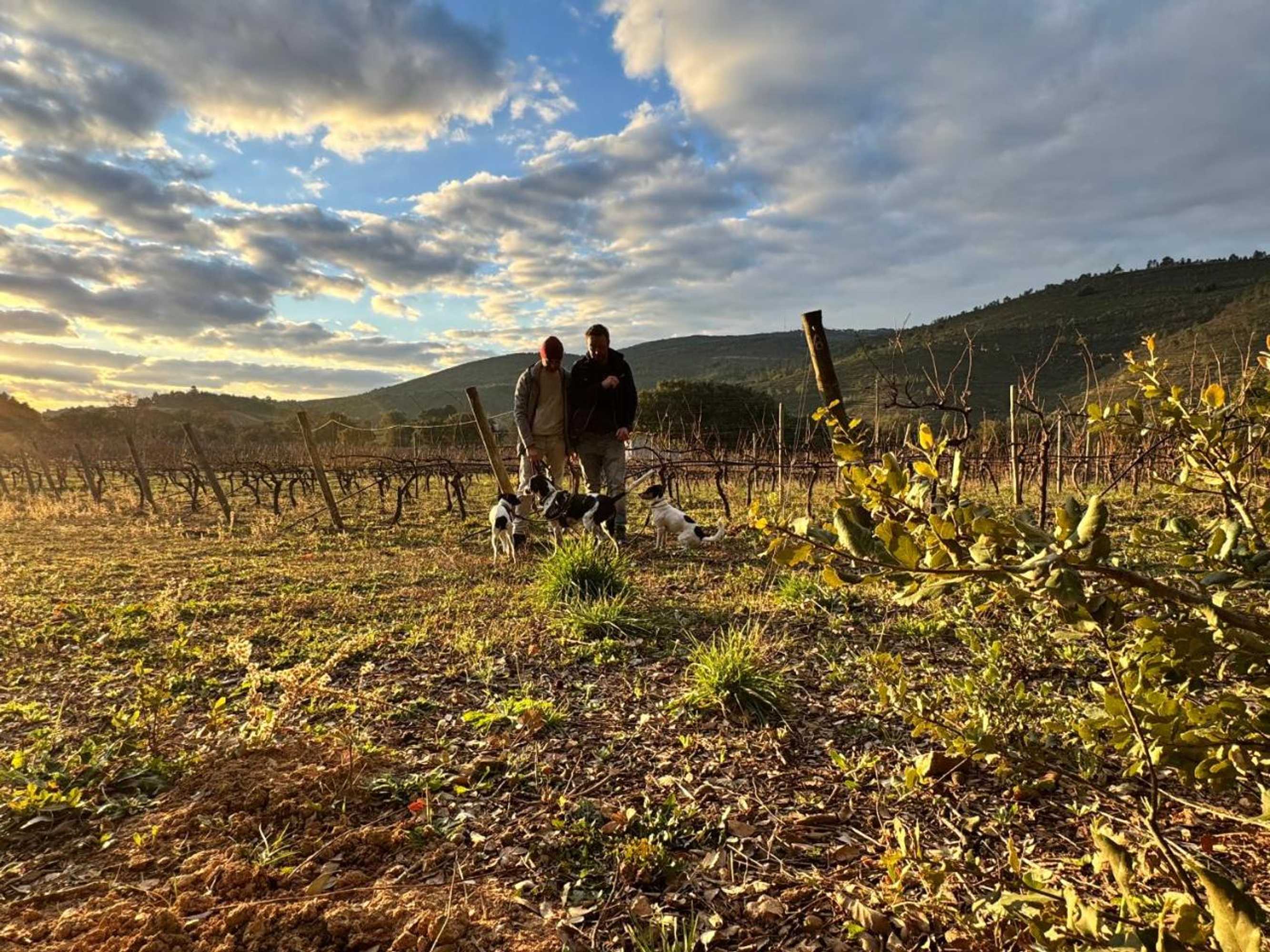 Gift card for Salto Del Caballo