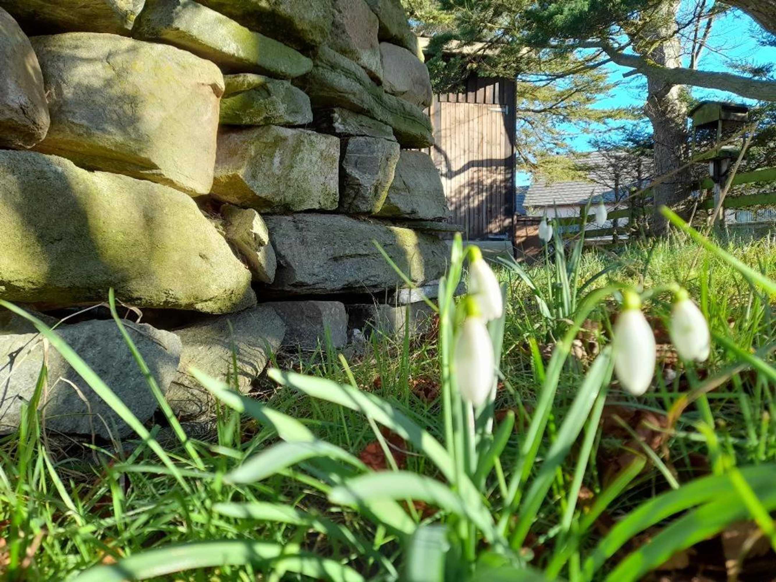 Gift card for The Granary