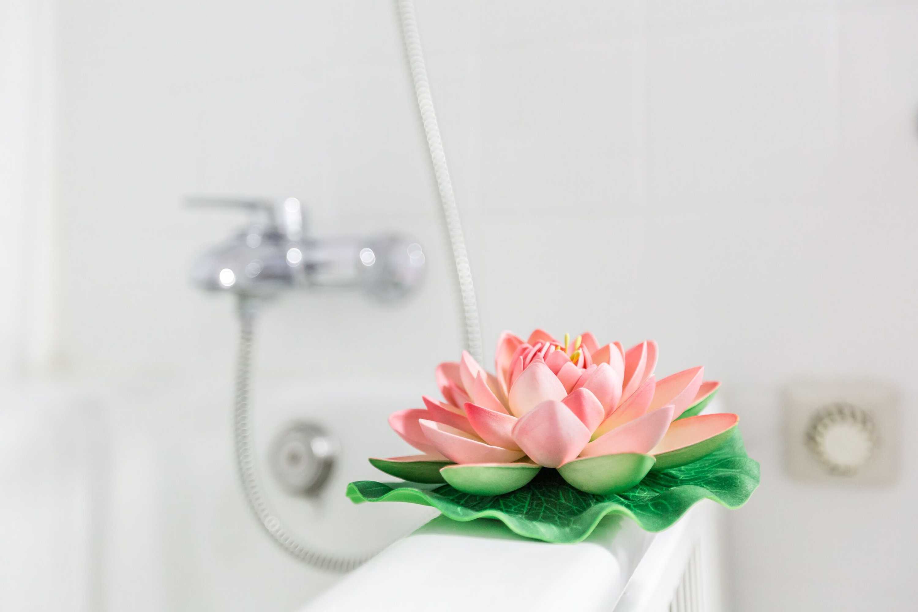 Gift card for Domicile Cologne