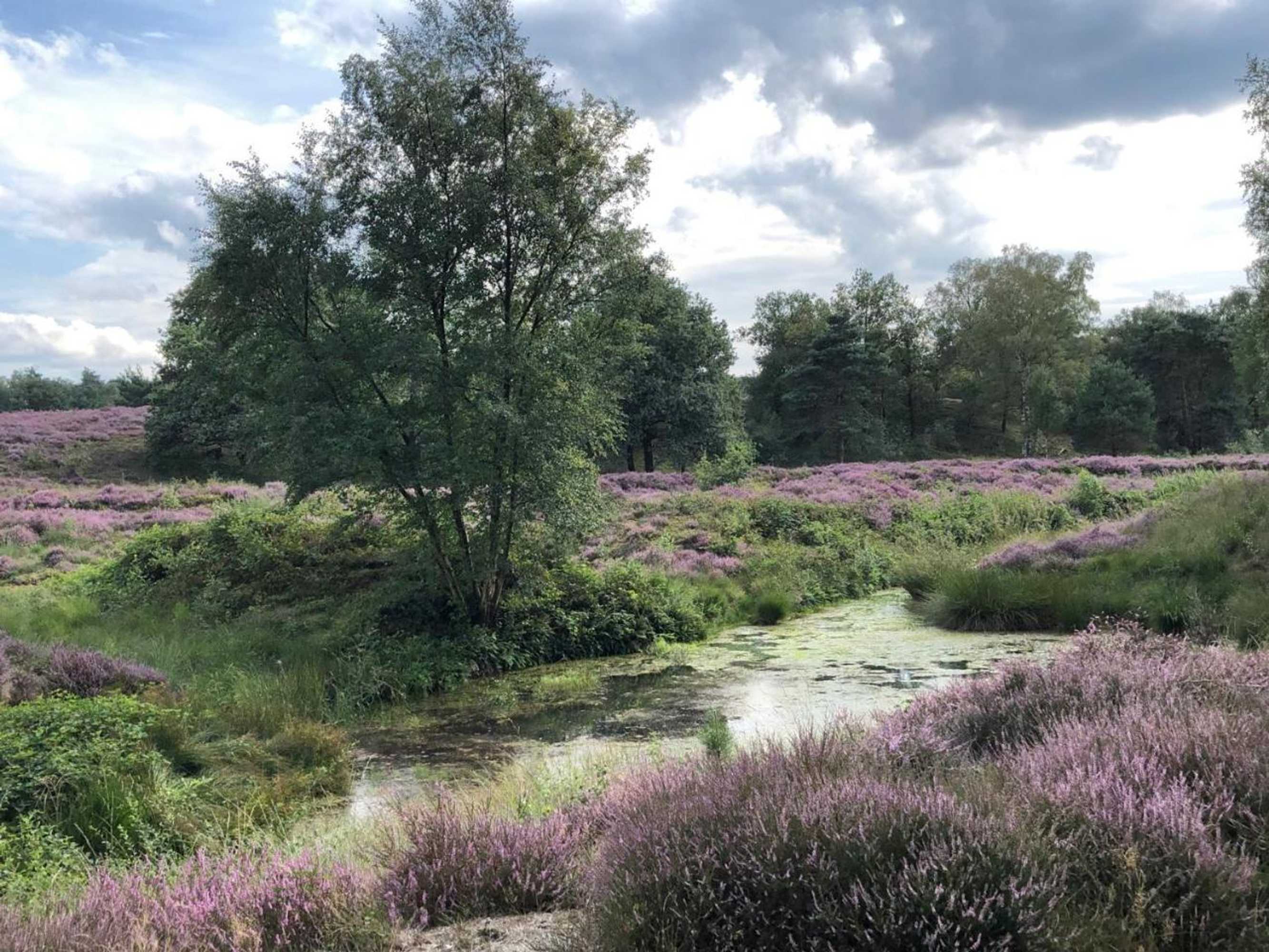 Gift card for B&b de Kerk