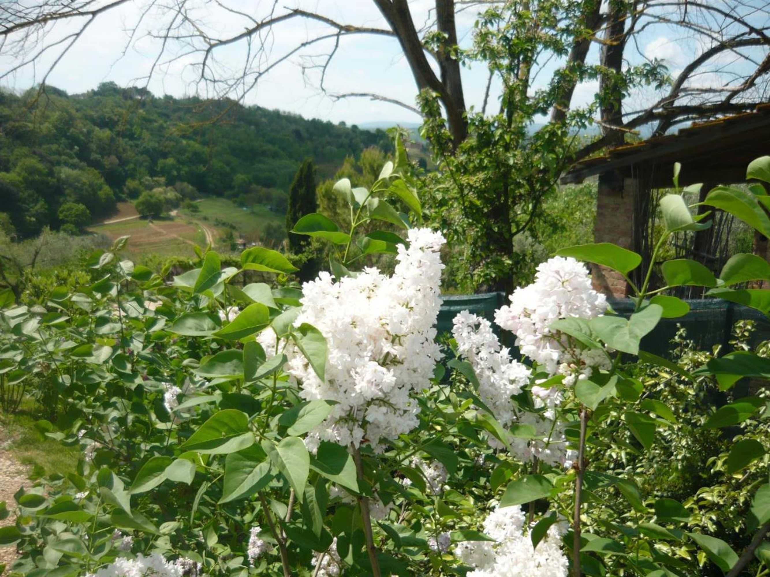 Gift card for Podere Oliveta