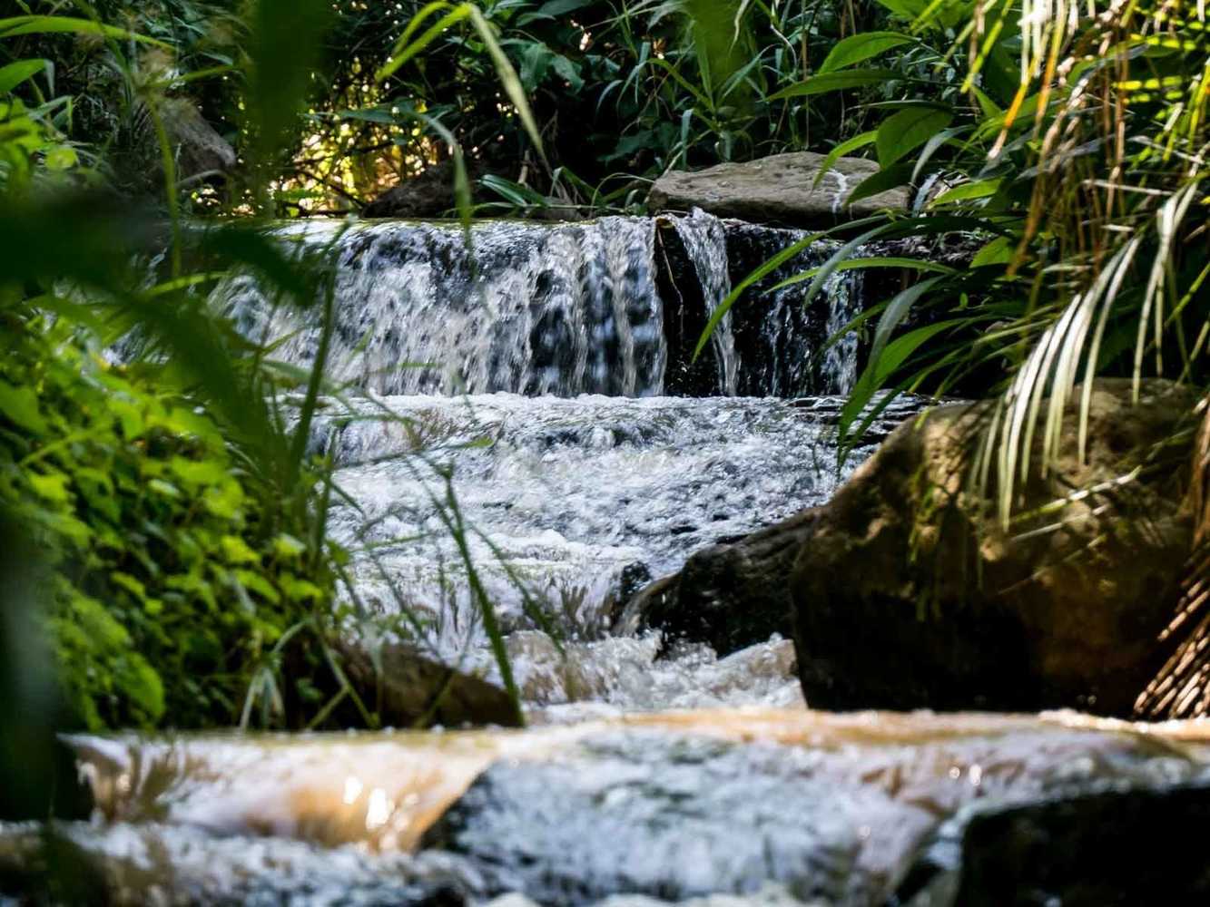 Gift card for Africa's Eden Guesthouse