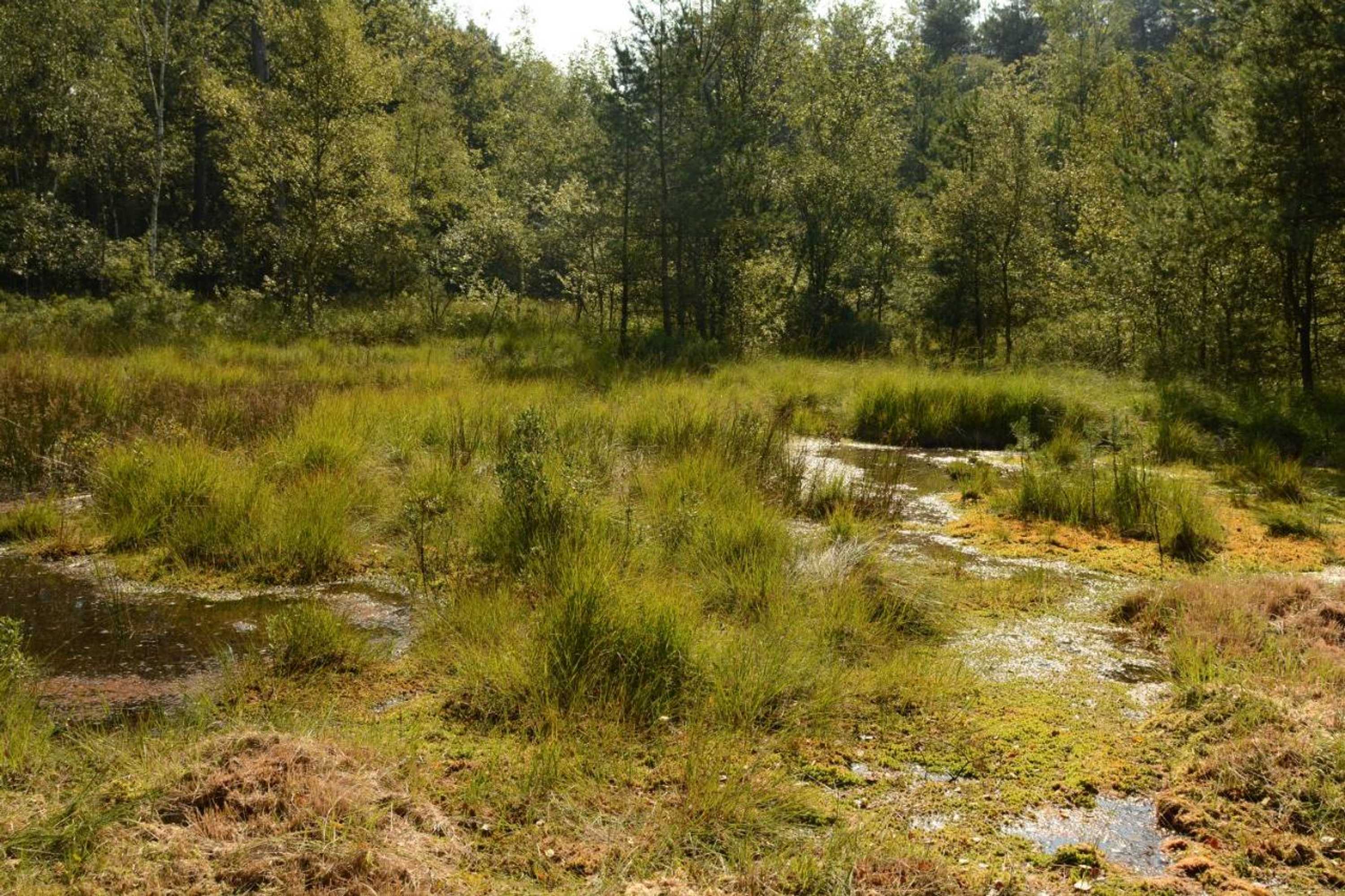 Gift card for De Spreekkamer