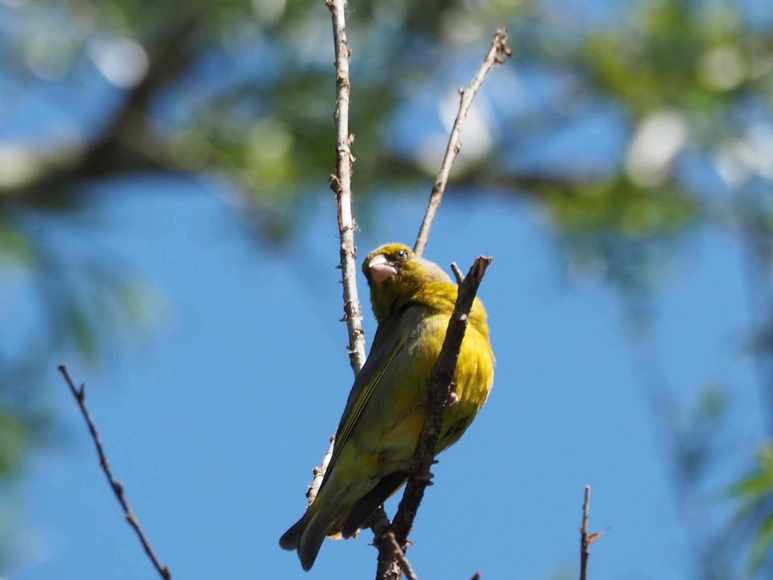 Gift card for Bnb De Peelvos