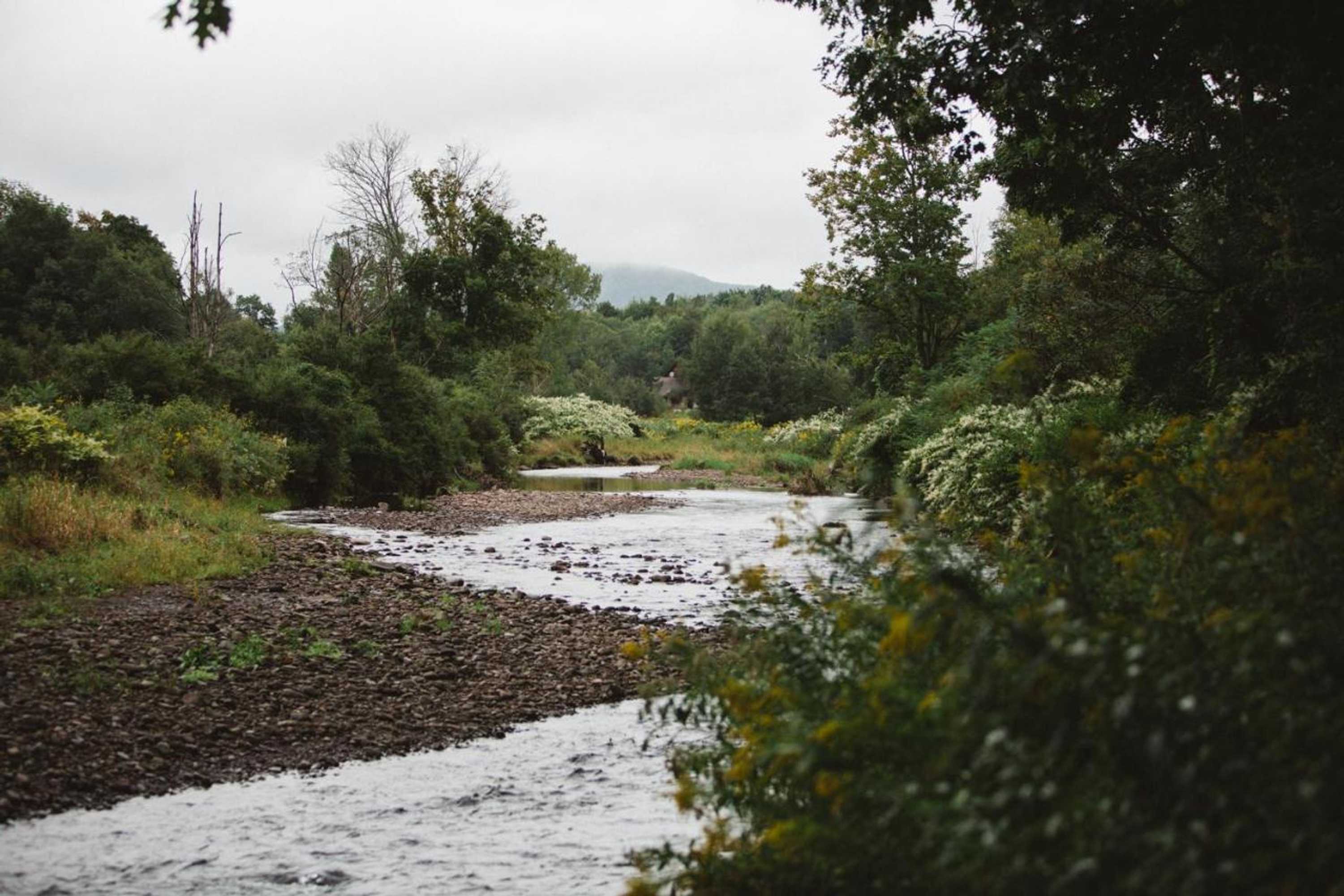 Gift card for Albergo Allegria Hotel