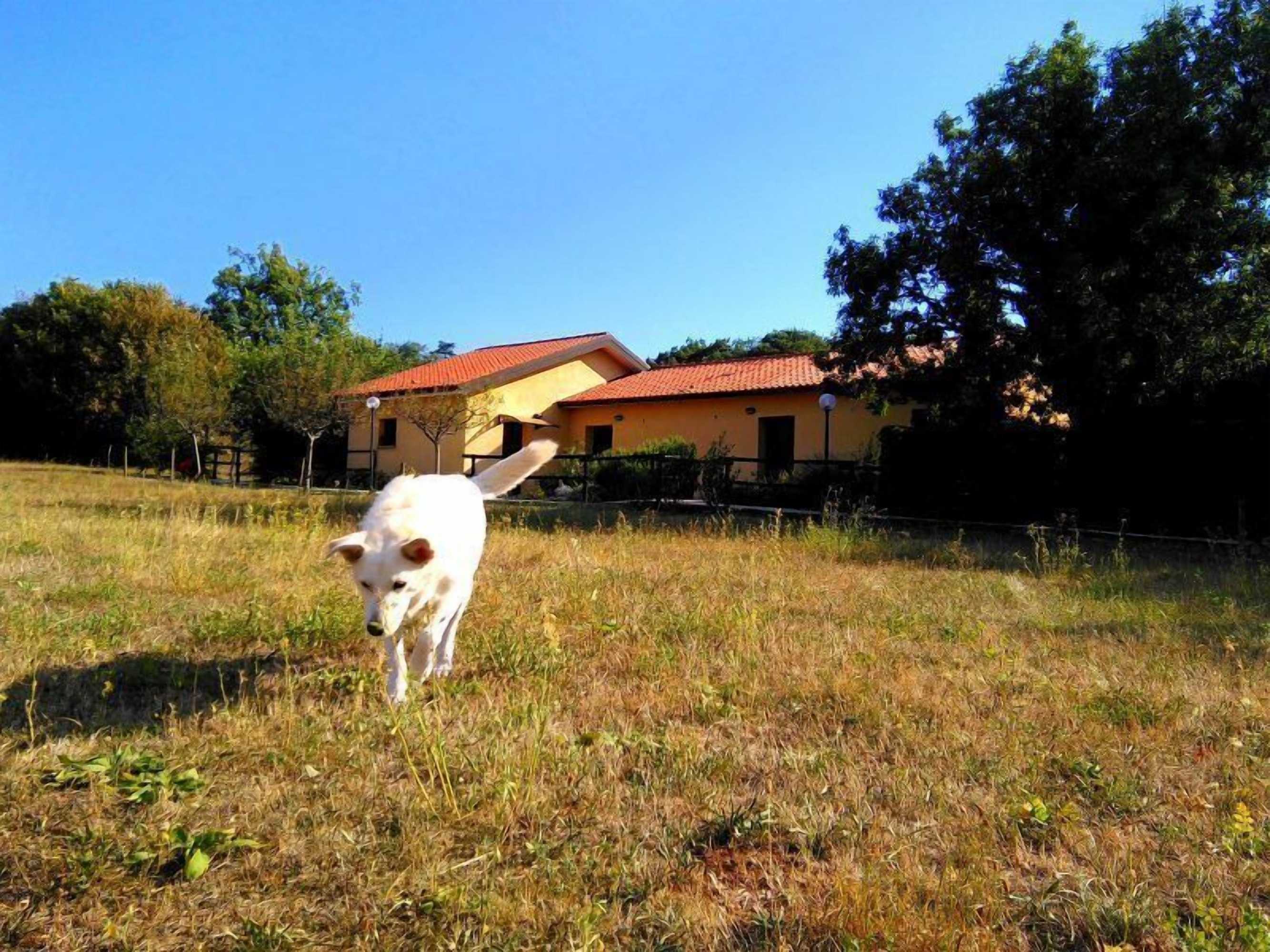 Gift card for Agriturismo Radovic Gift card for Agriturismo Radovic