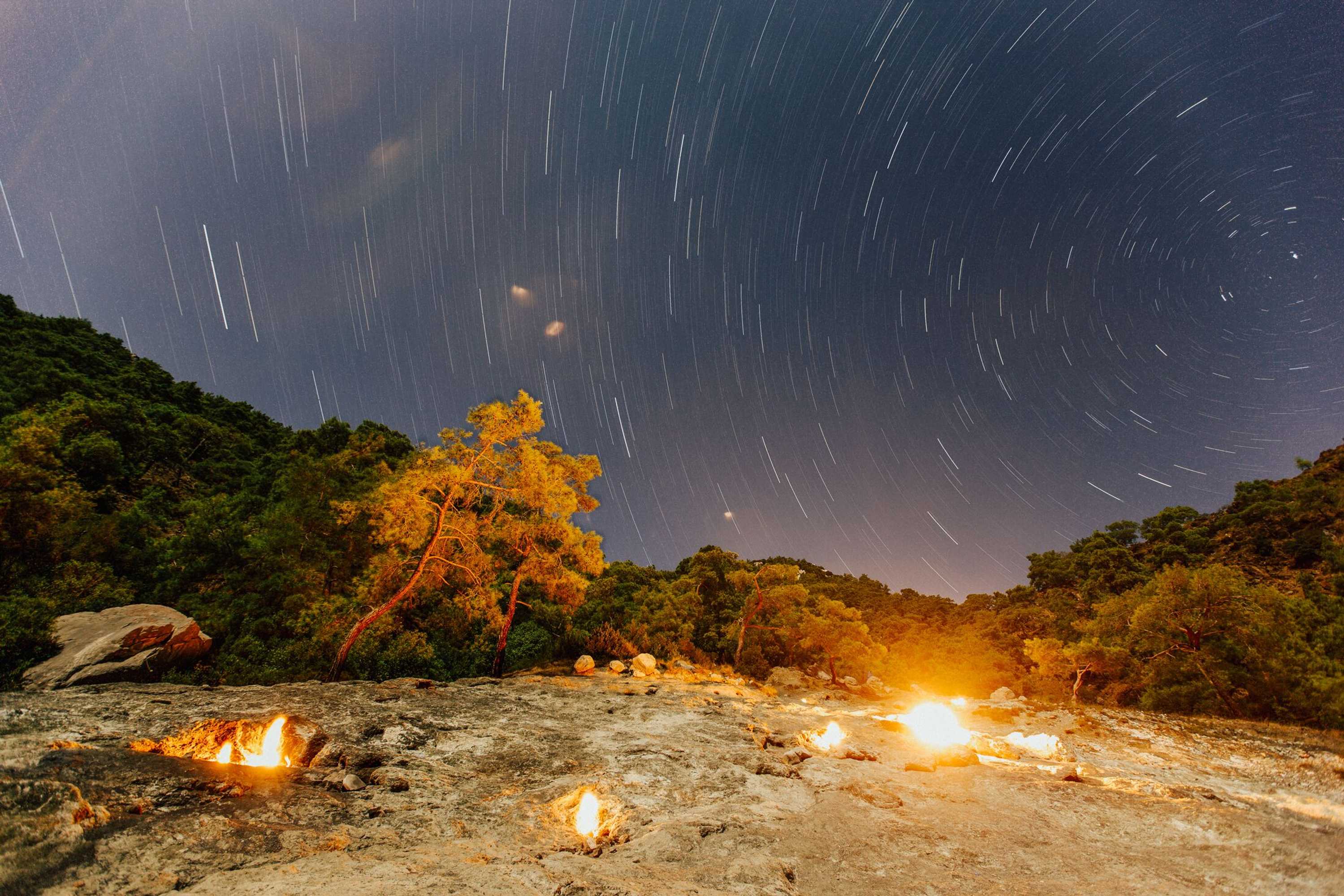 Gift card for Kadir's Tree Houses