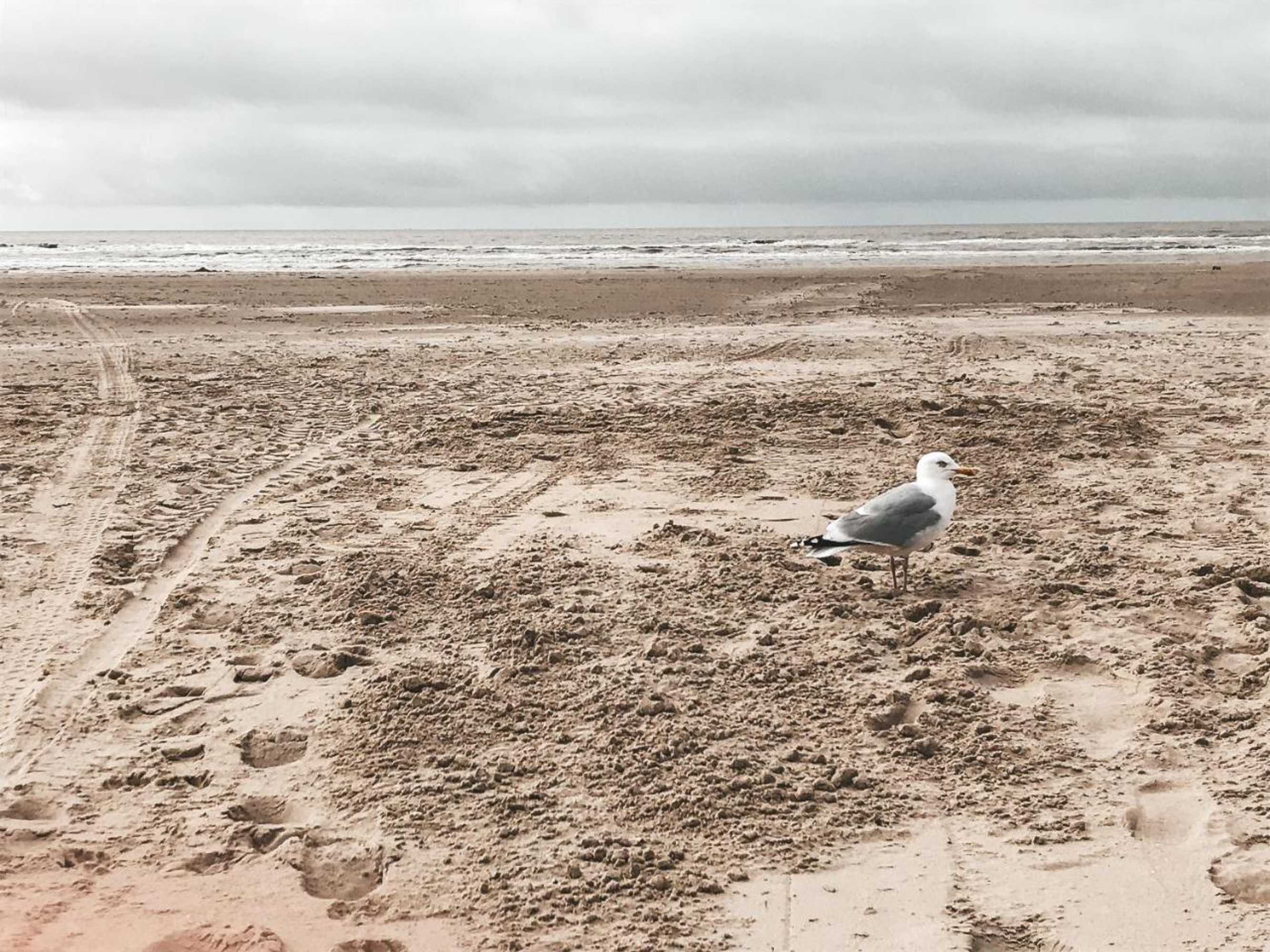 Gift card for Eureka Vakantiehuisjes