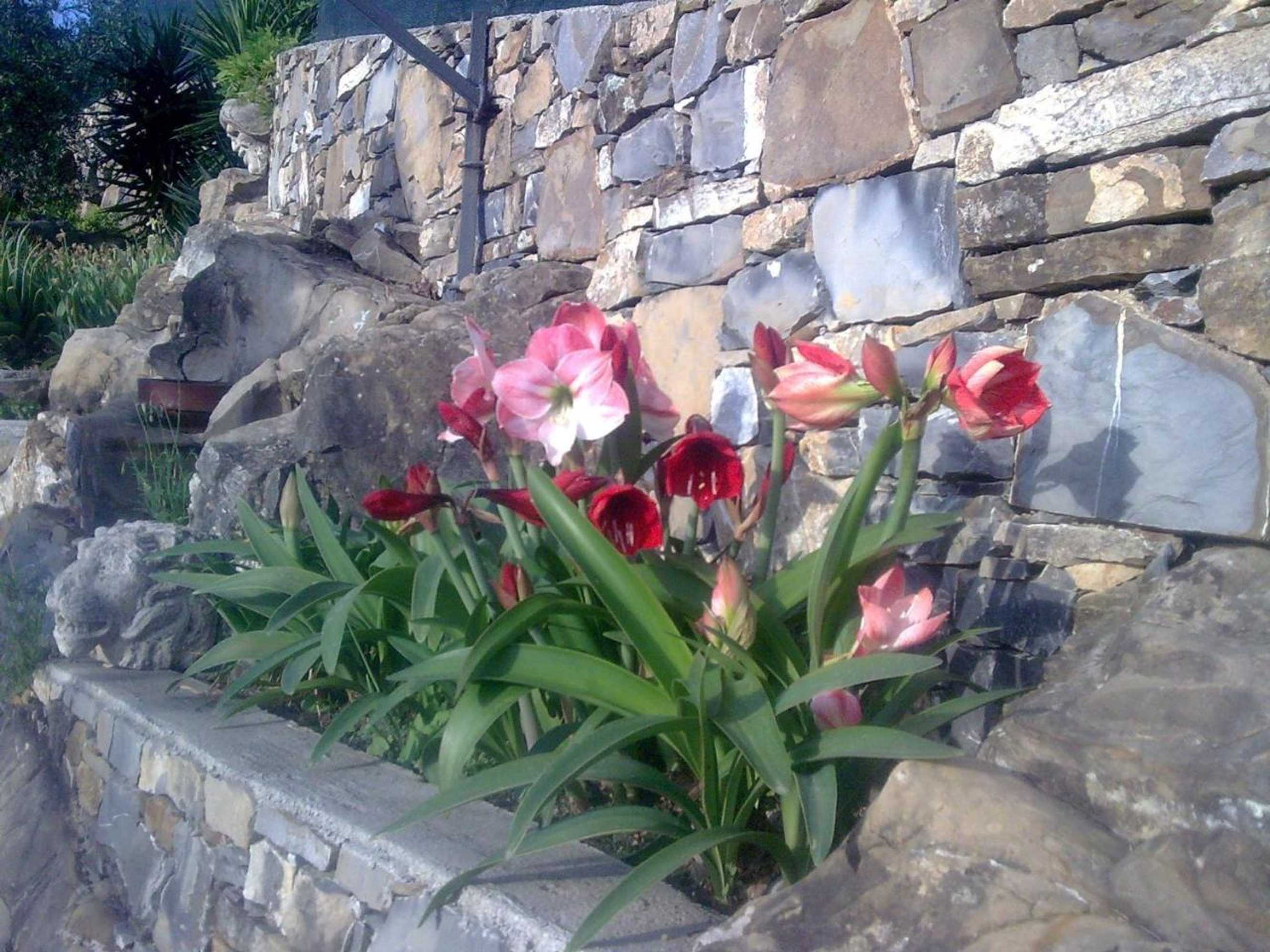 Gift card for Hotel Miramare