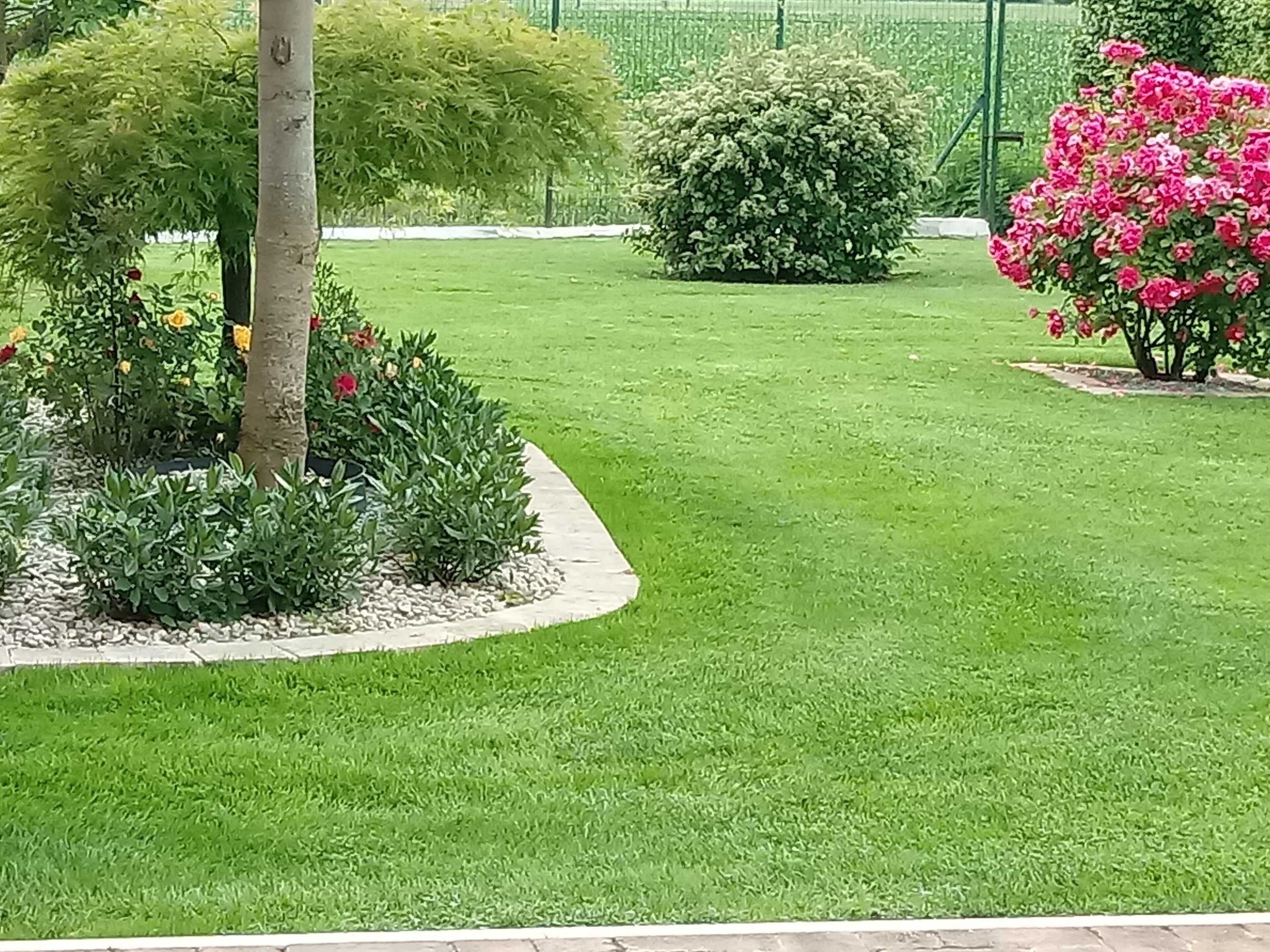 Gift card for B&b Residence il Ciliegio , Via Villa Superiore 93 Luzzara