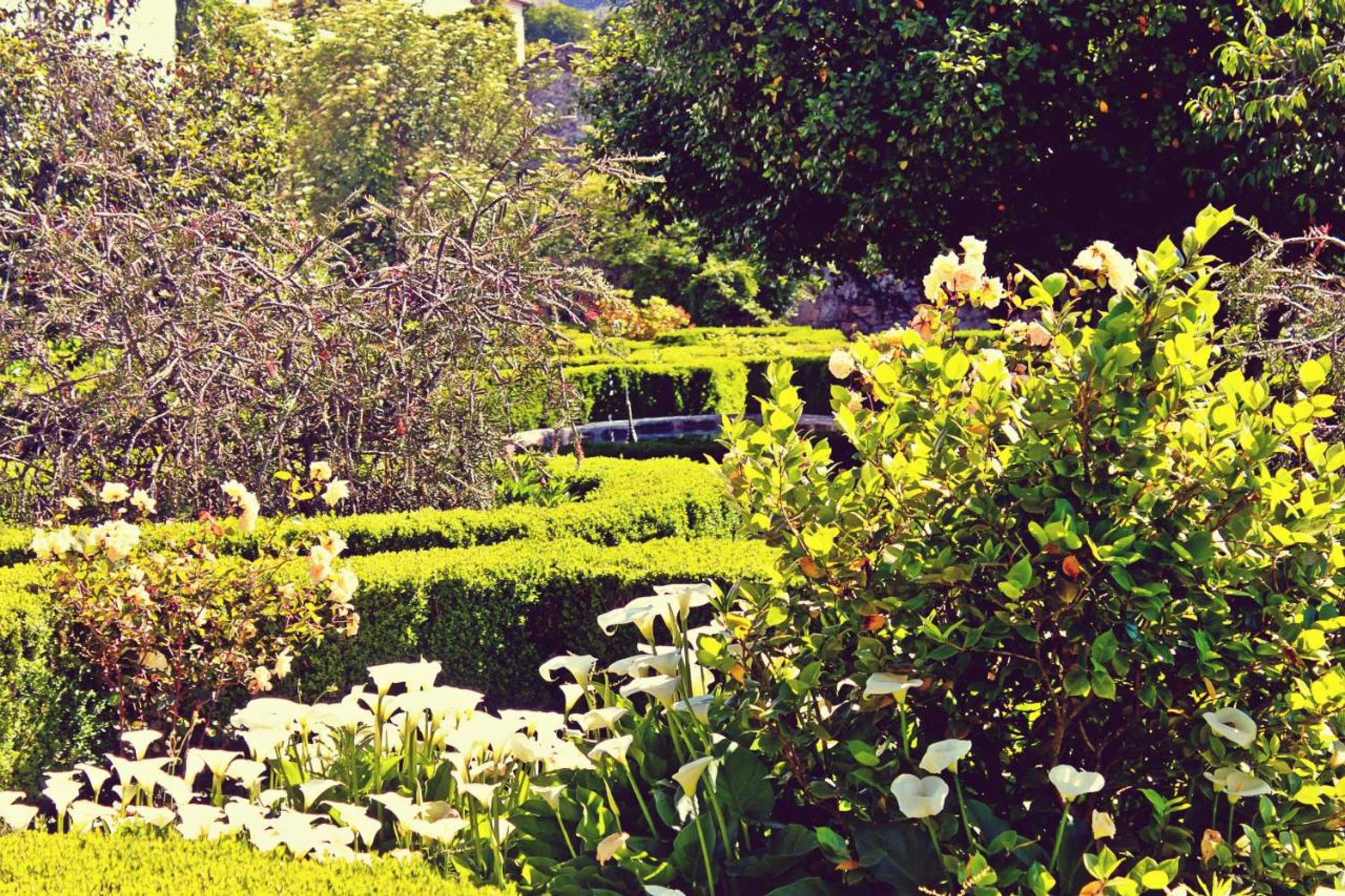 Gift card for Hotel Rural Casa Dos Viscondes da Varzea Gift card for Hotel Rural Casa Dos Viscondes da Varzea