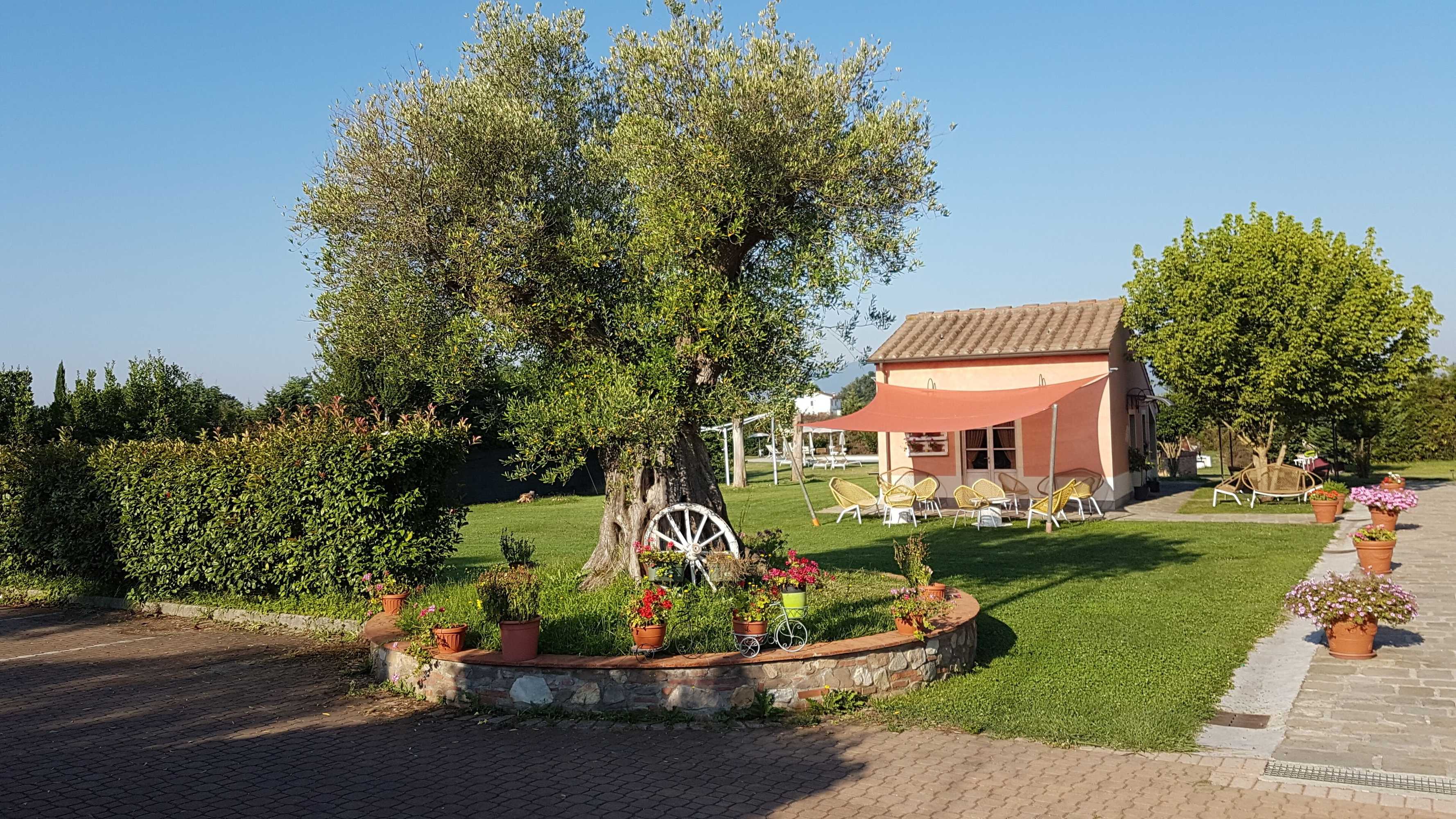 Gift card for Casal Sant' Elena Gift card for Casal Sant' Elena