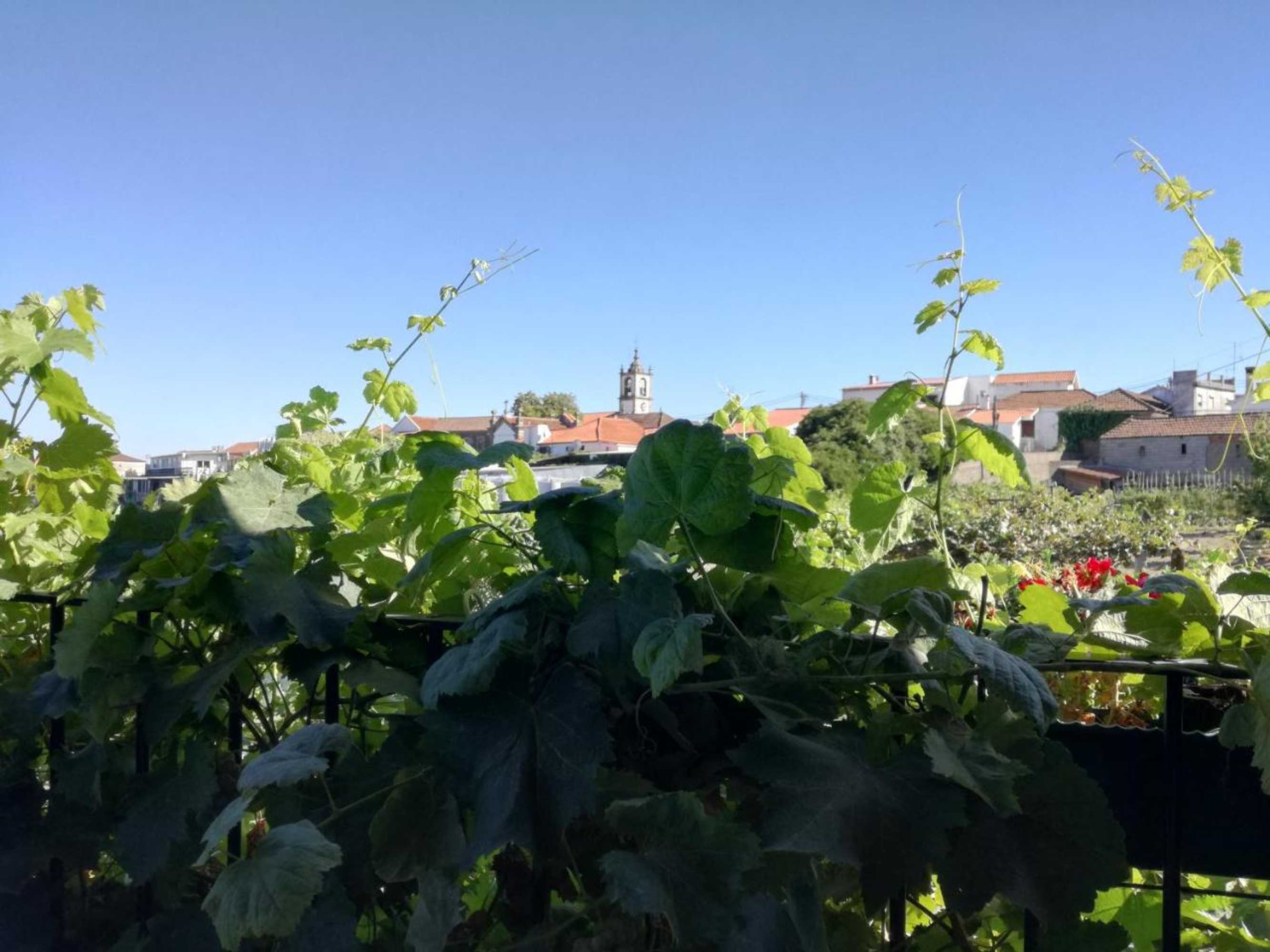 Gift card for O Zé Já Dormiu Aqui