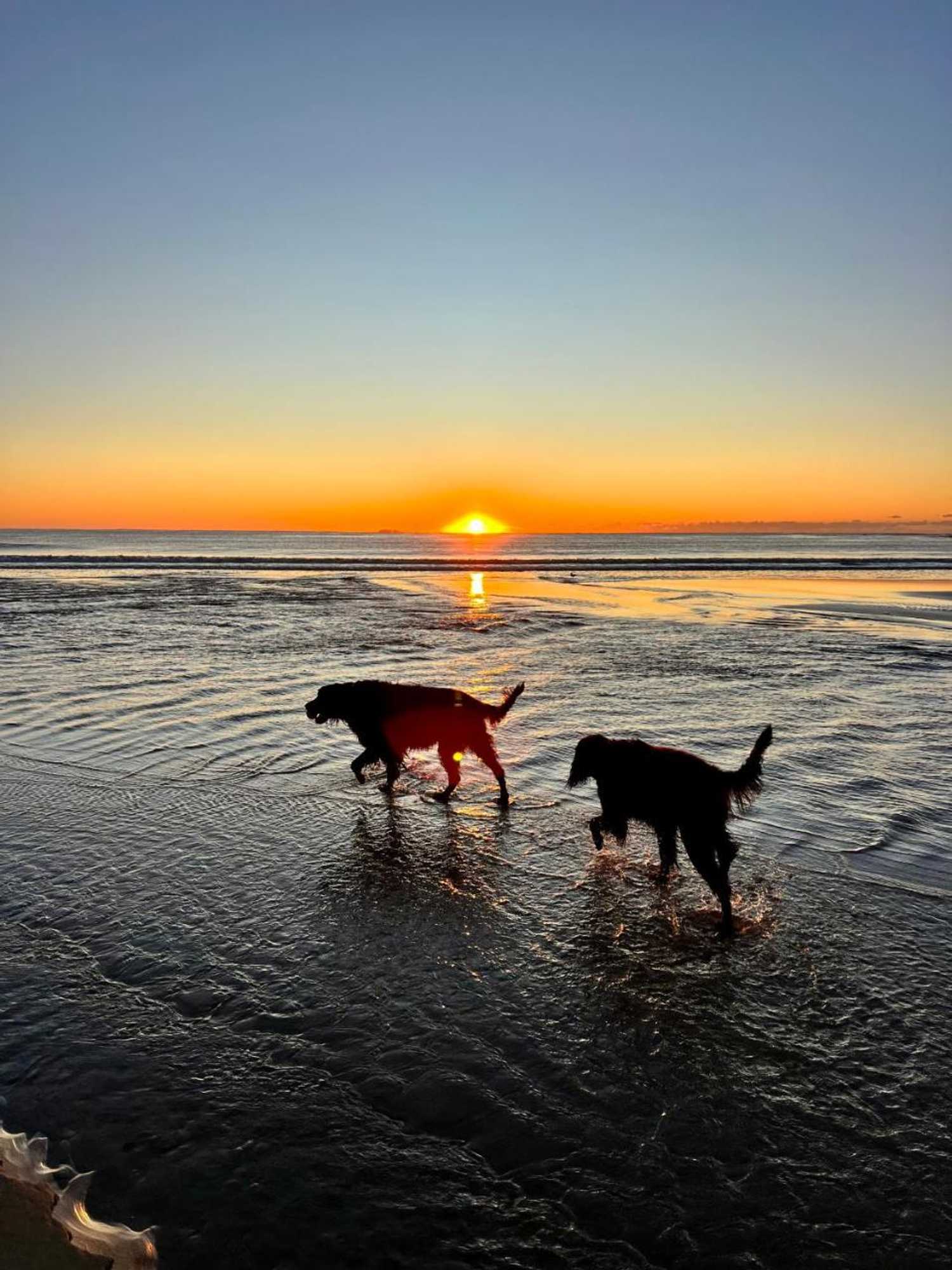 Gift card for The Beach Arrawarra