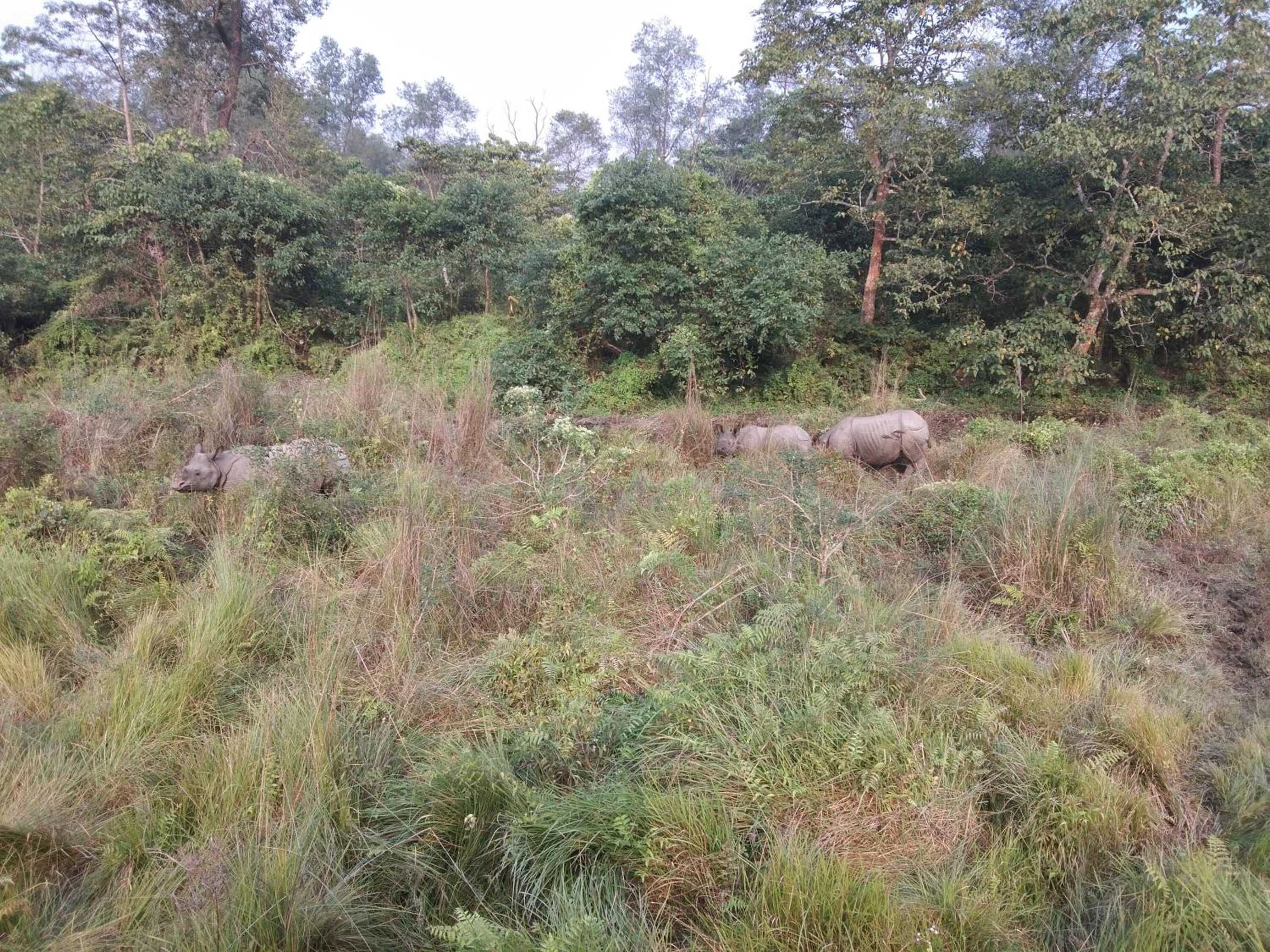 Gift card for Chital Lodge