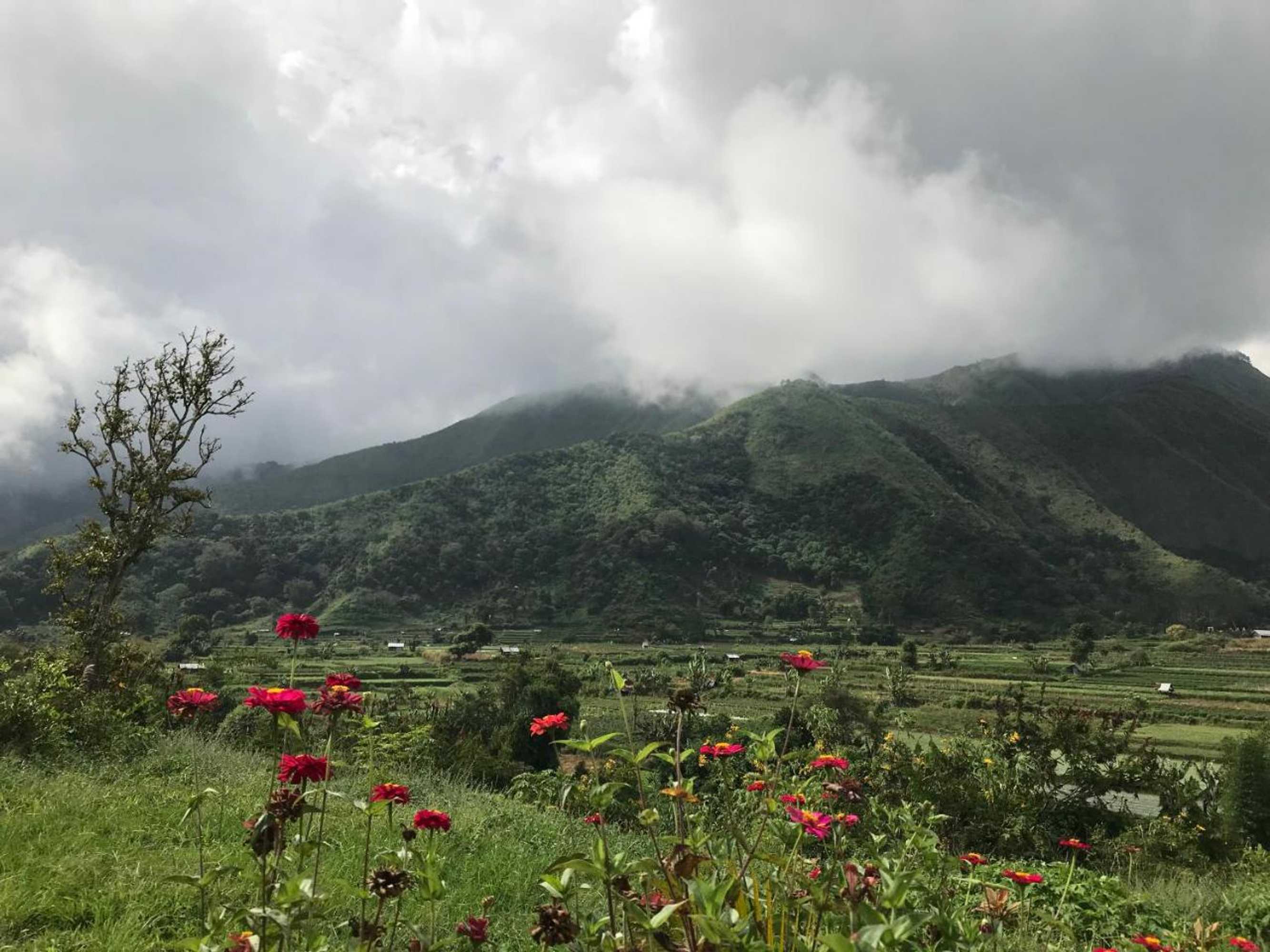 Gift card for Rinjani Inn