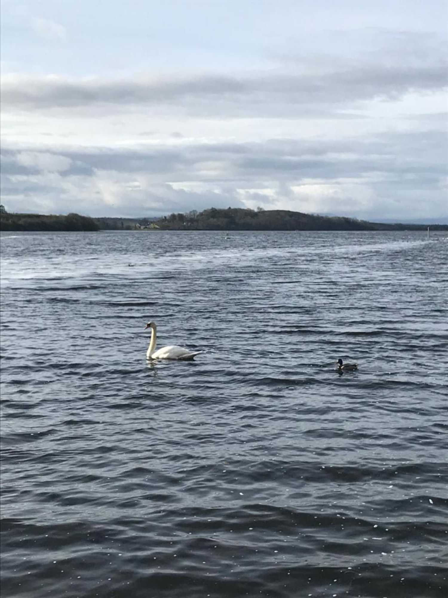 Gift card for Ros Dún House