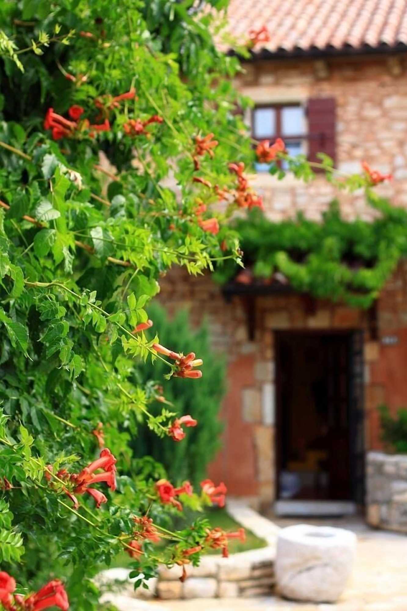 Gift card for Luxury Villa Murva Gift card for Luxury Villa Murva