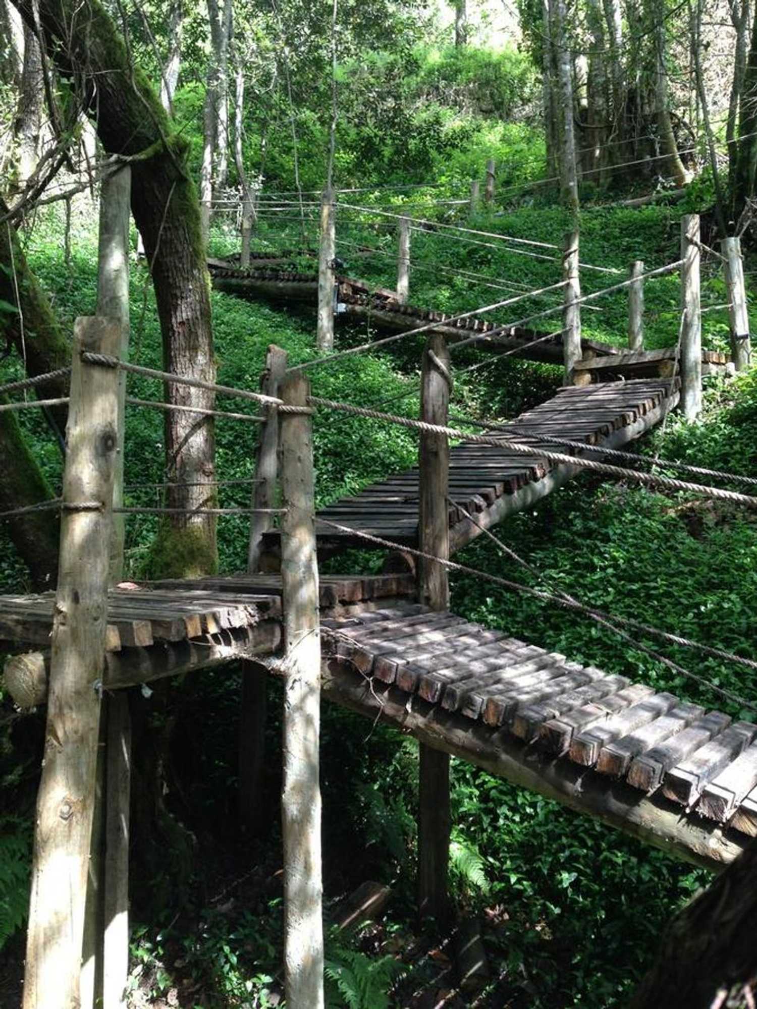 Gift card for Rio Moment's