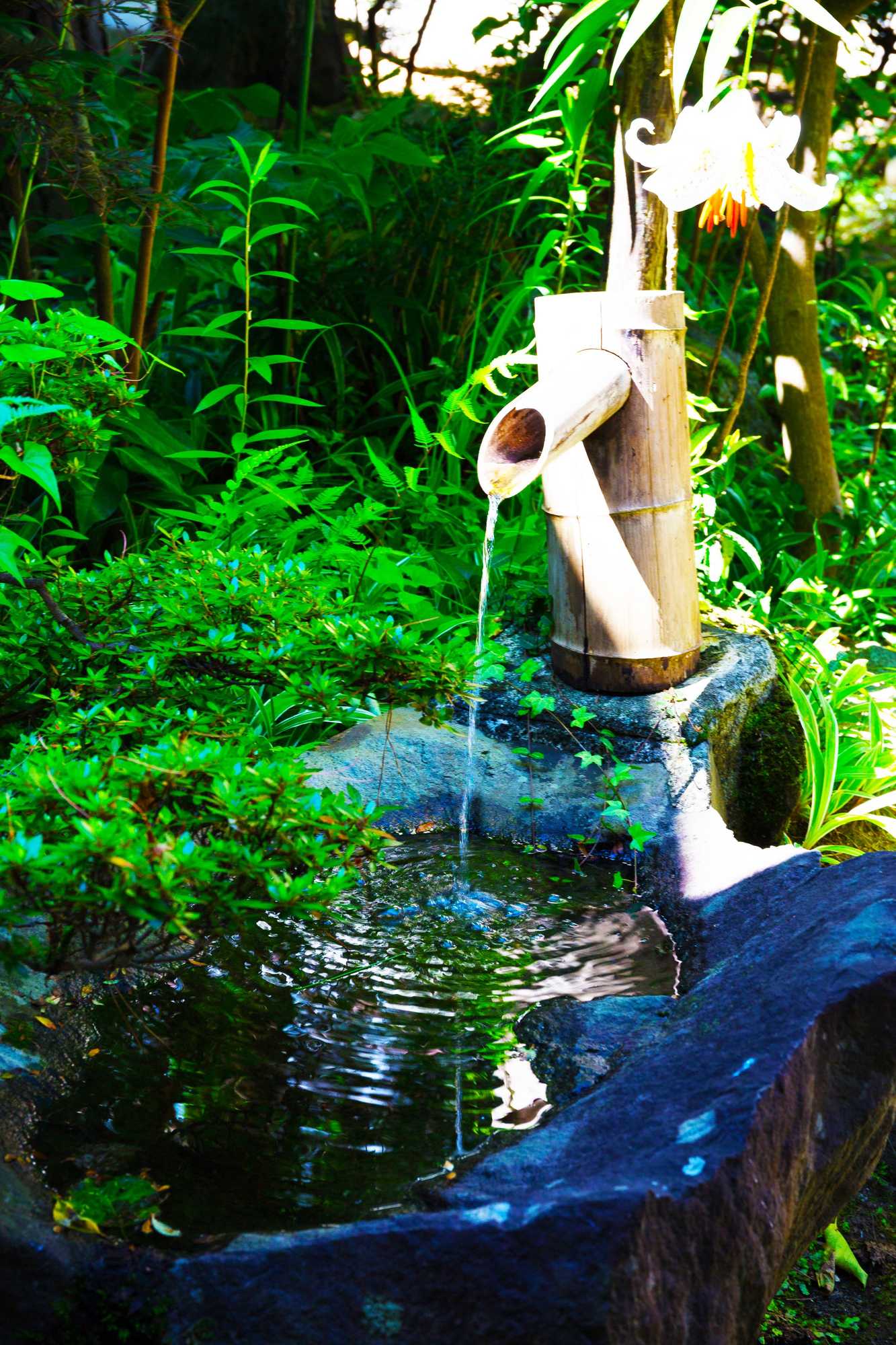 Gift card for Ryokan Fukumotokan