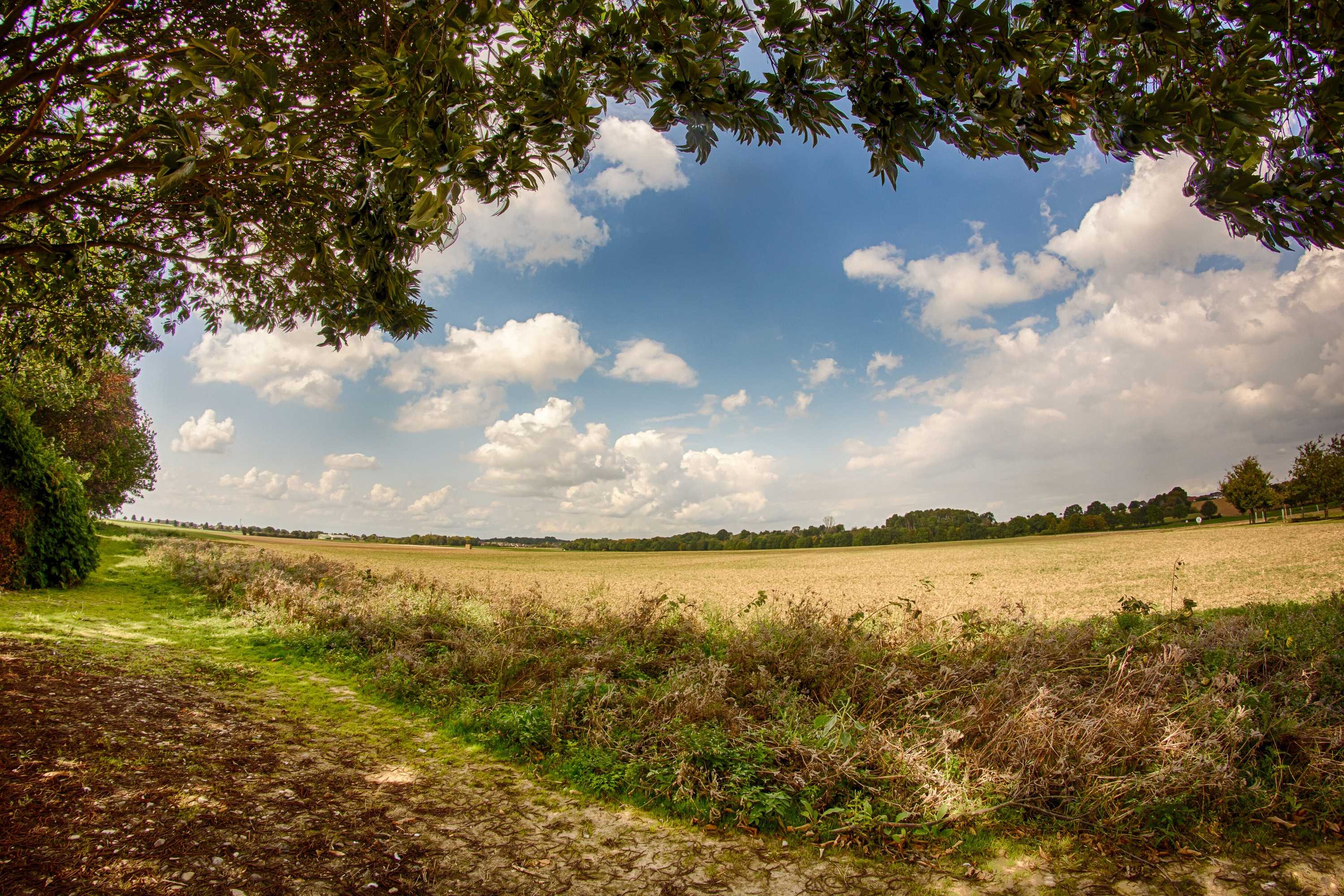 Gift card for Landhaus Göddertzhof