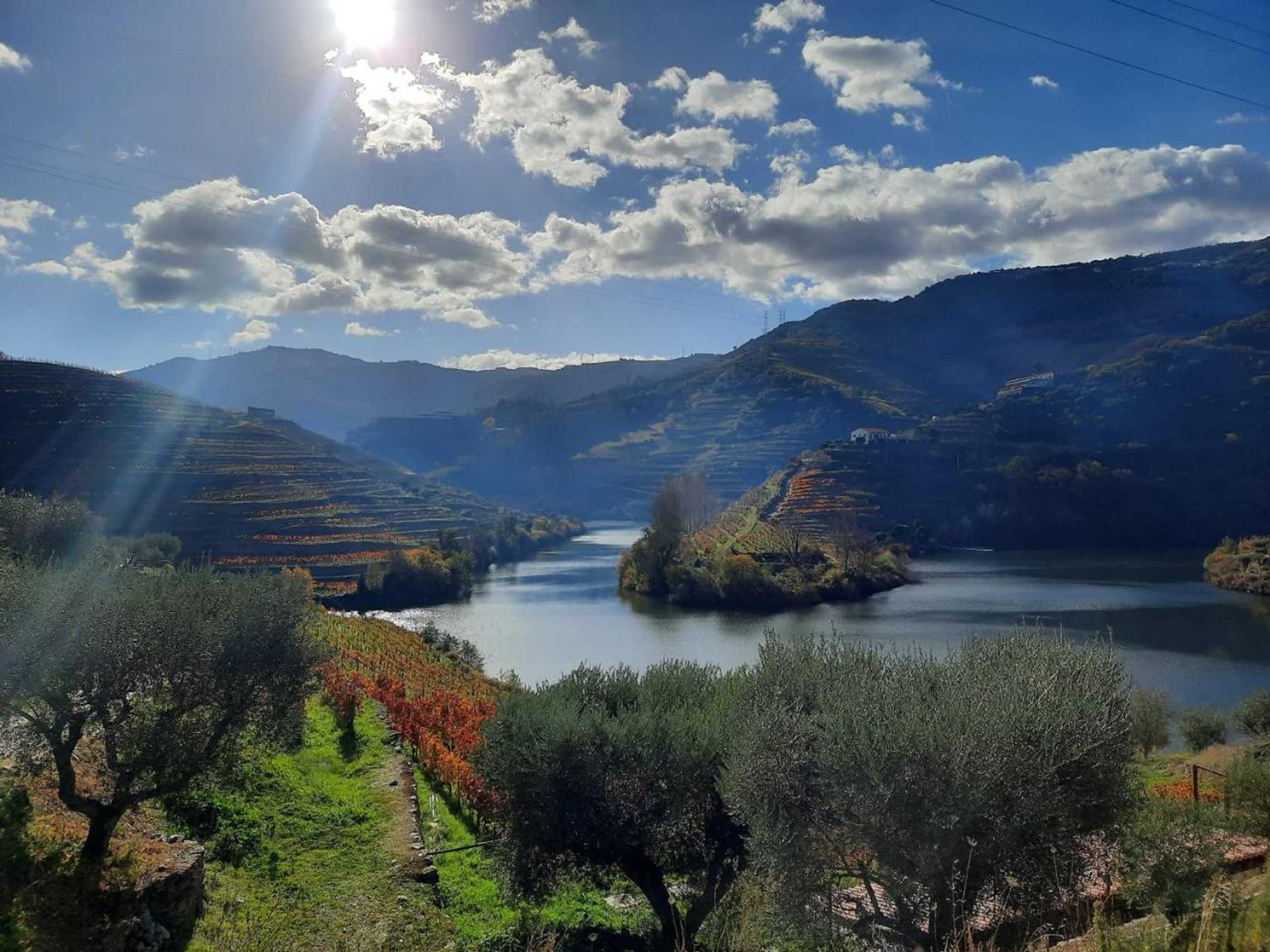 Gift card for Quinta do Tedo