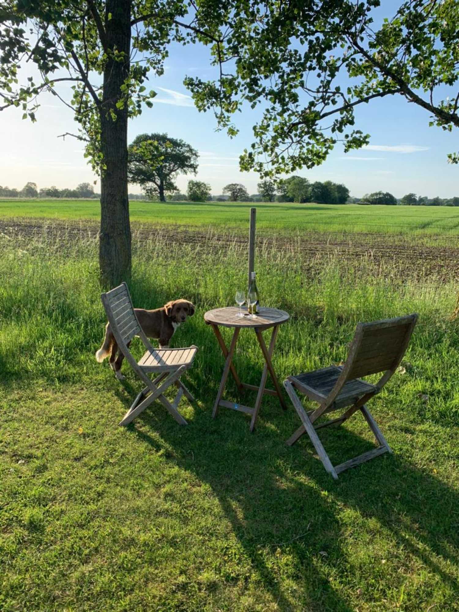 Gift card for Bluebell Barn