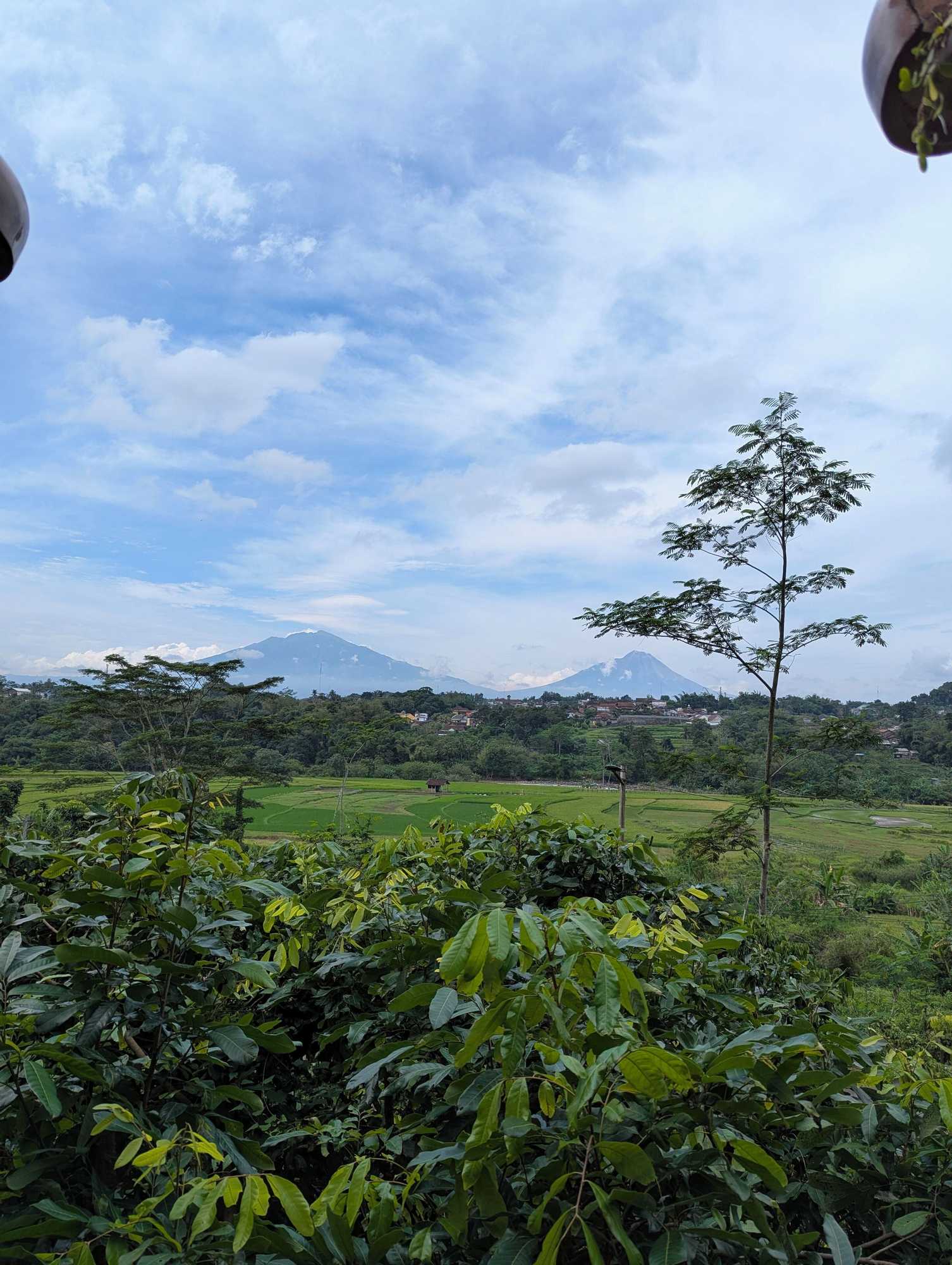 Gift card for Kasuari Exotic Resort Magelang Gift card for Kasuari Exotic Resort Magelang