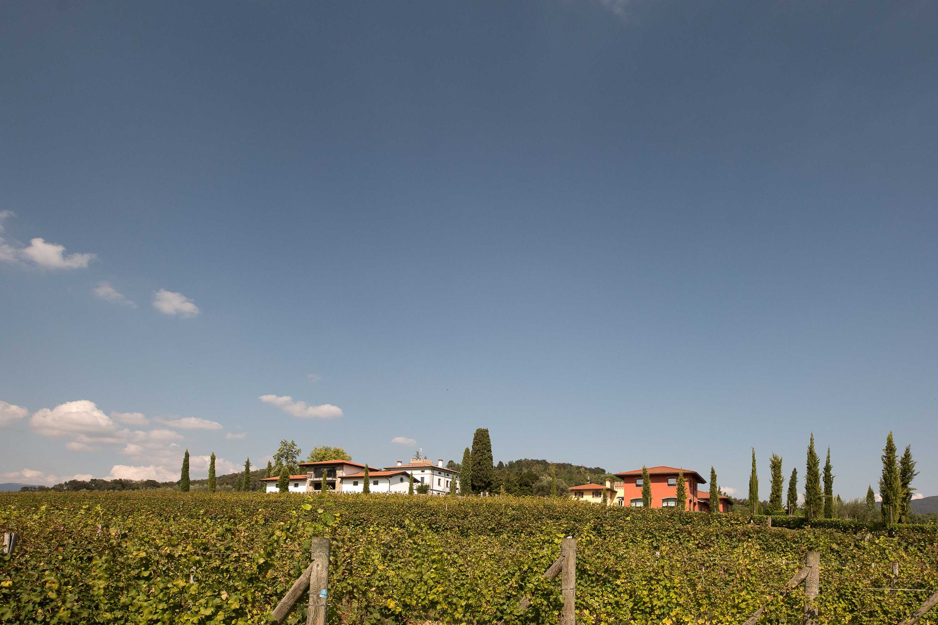 Gift card for Il Roncal Wine Resort - For Wine Lovers Gift card for Il Roncal Wine Resort - For Wine Lovers