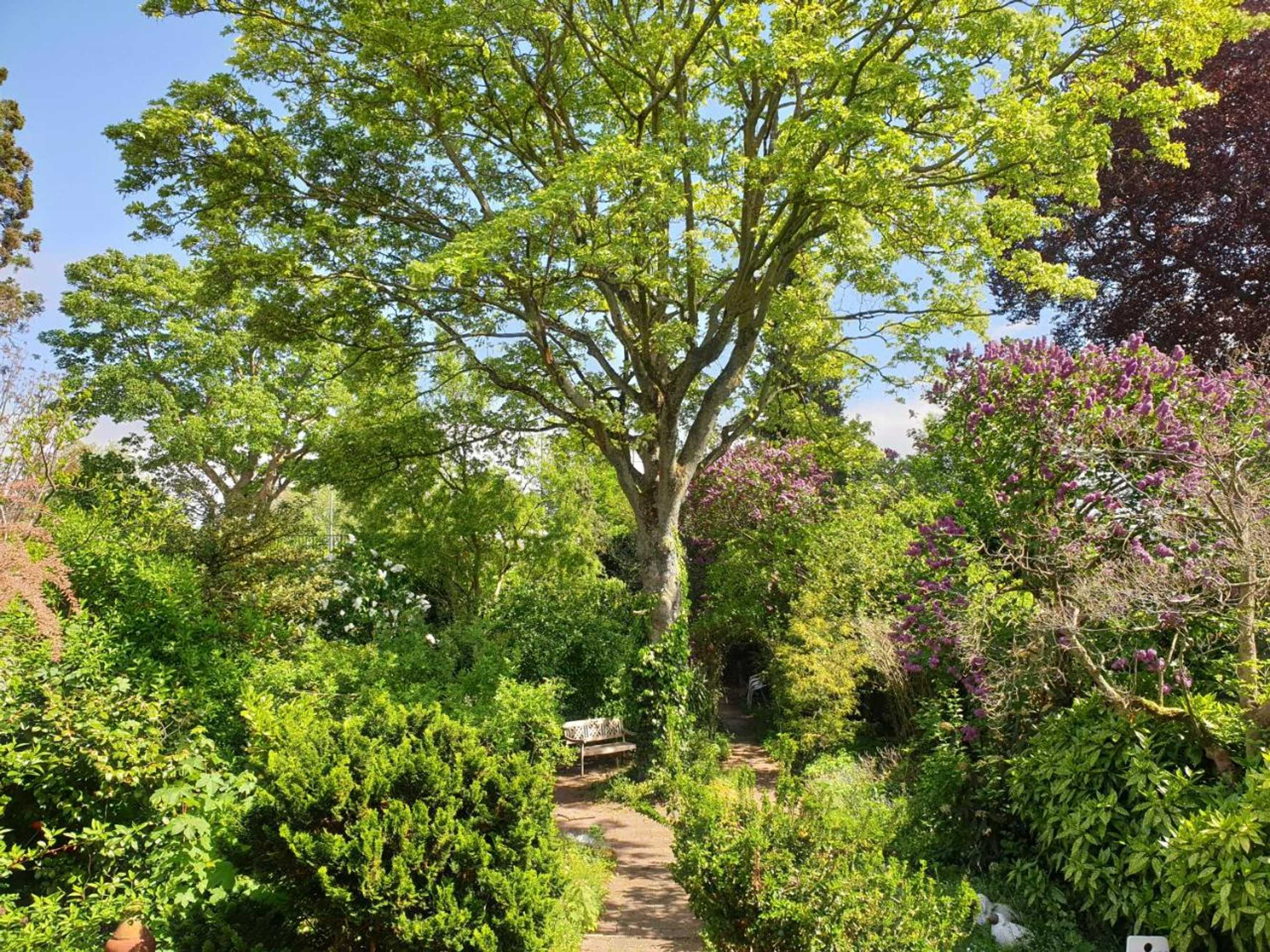 Gift card for B&b Willem II